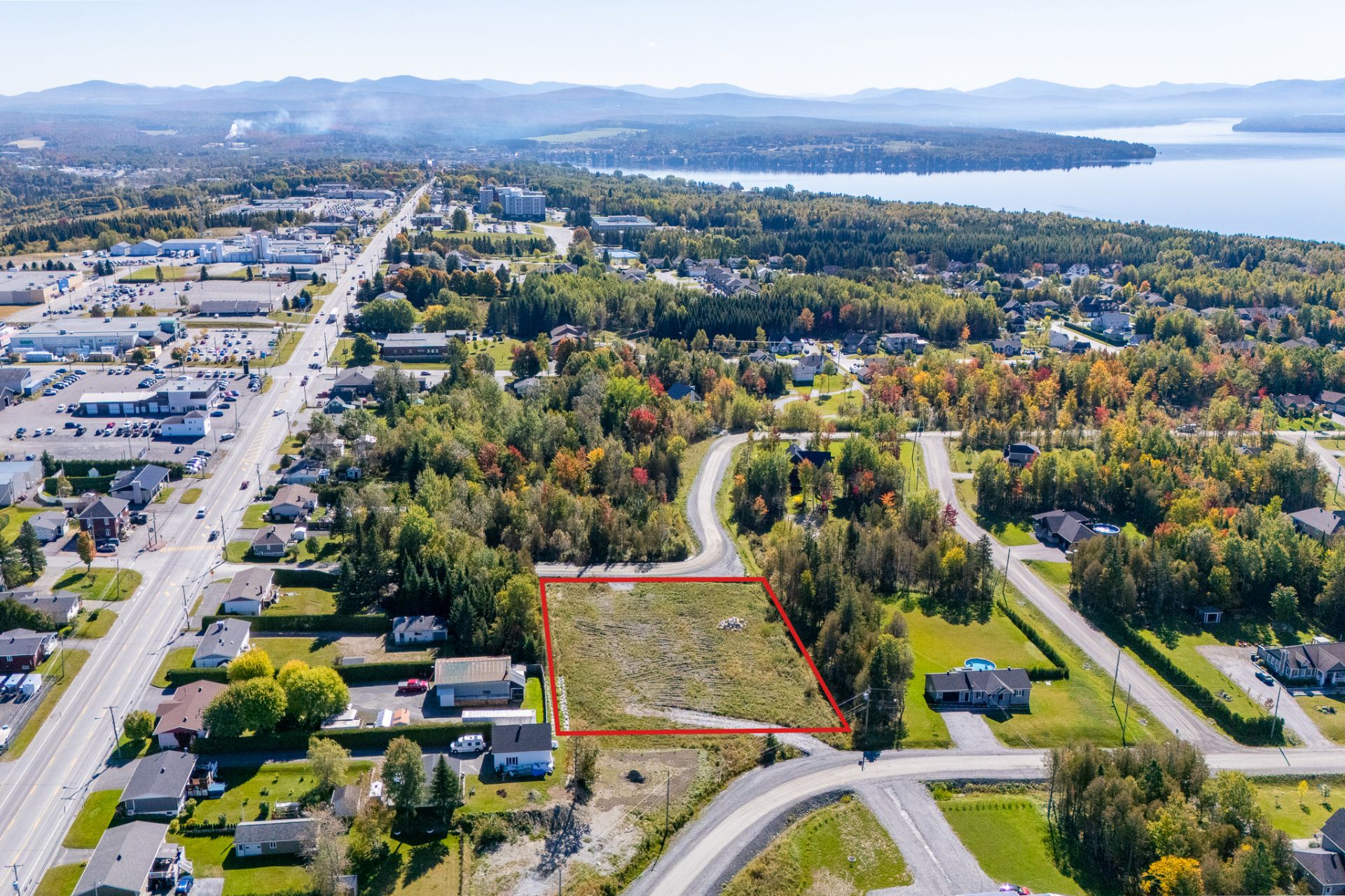 MLS: 11494757