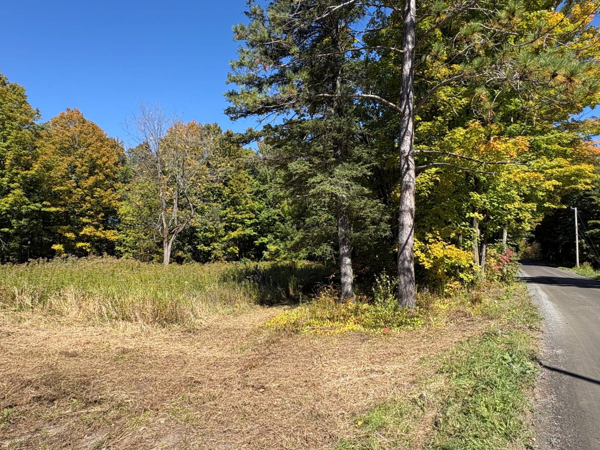 MLS: 10092455
