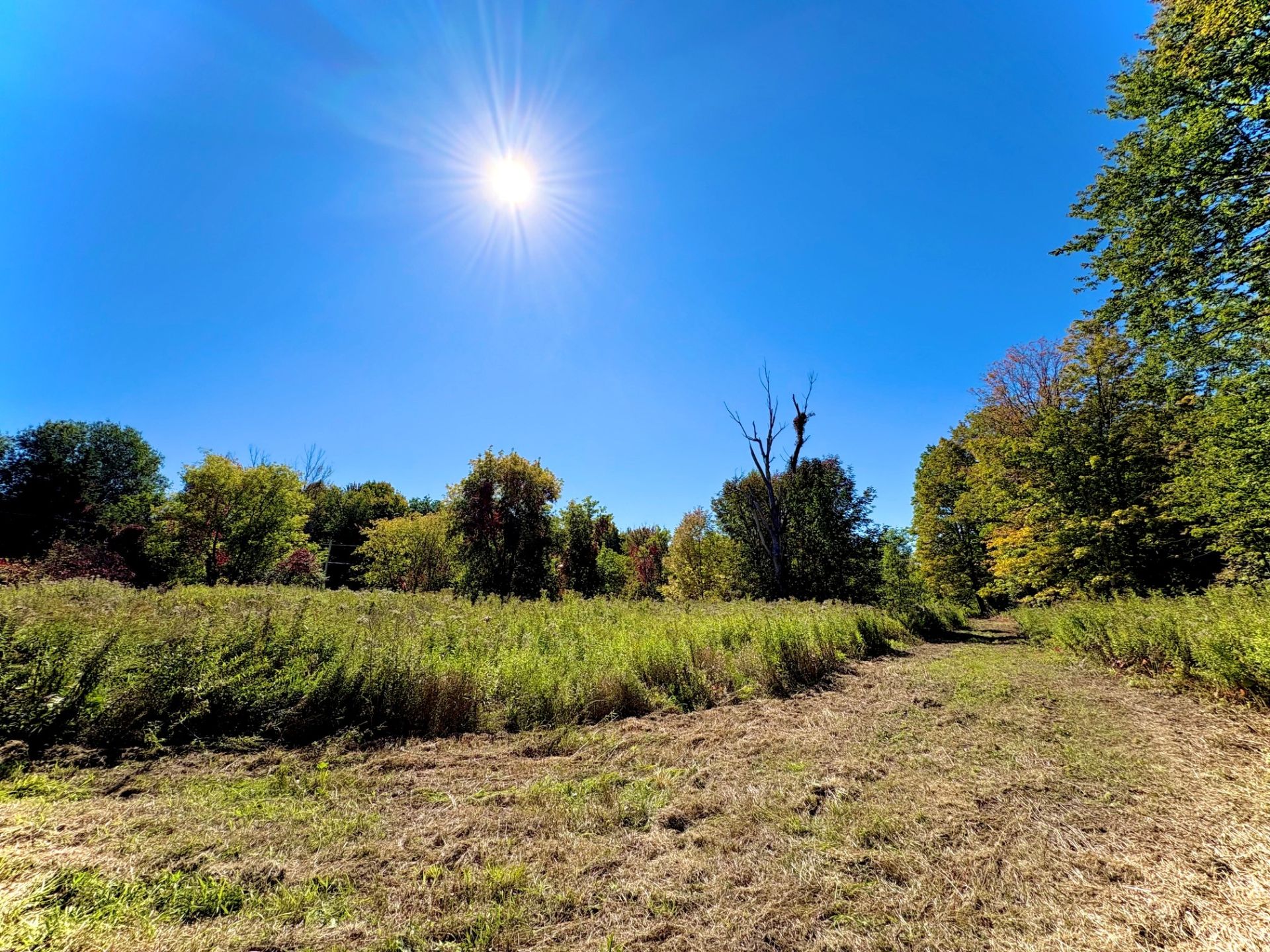 MLS: 10092455