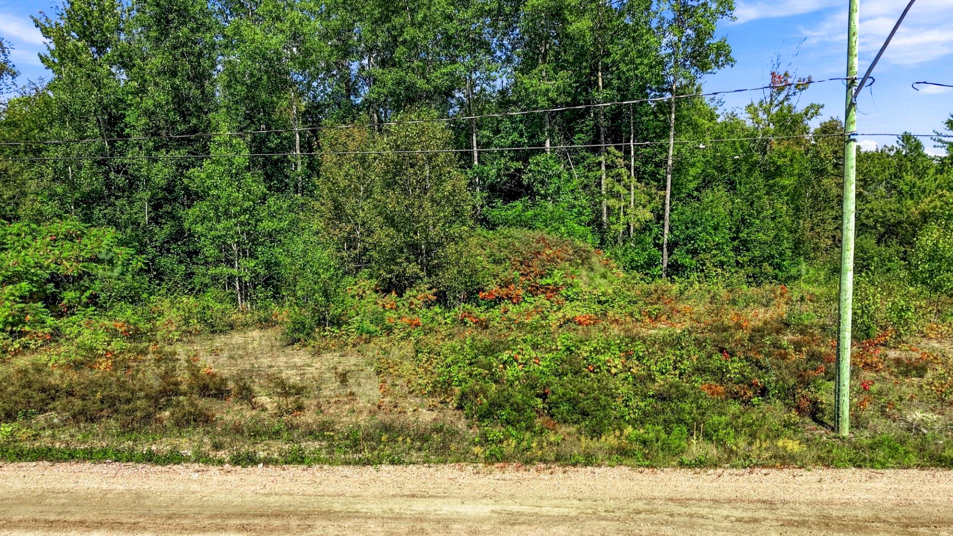 MLS: 12979424