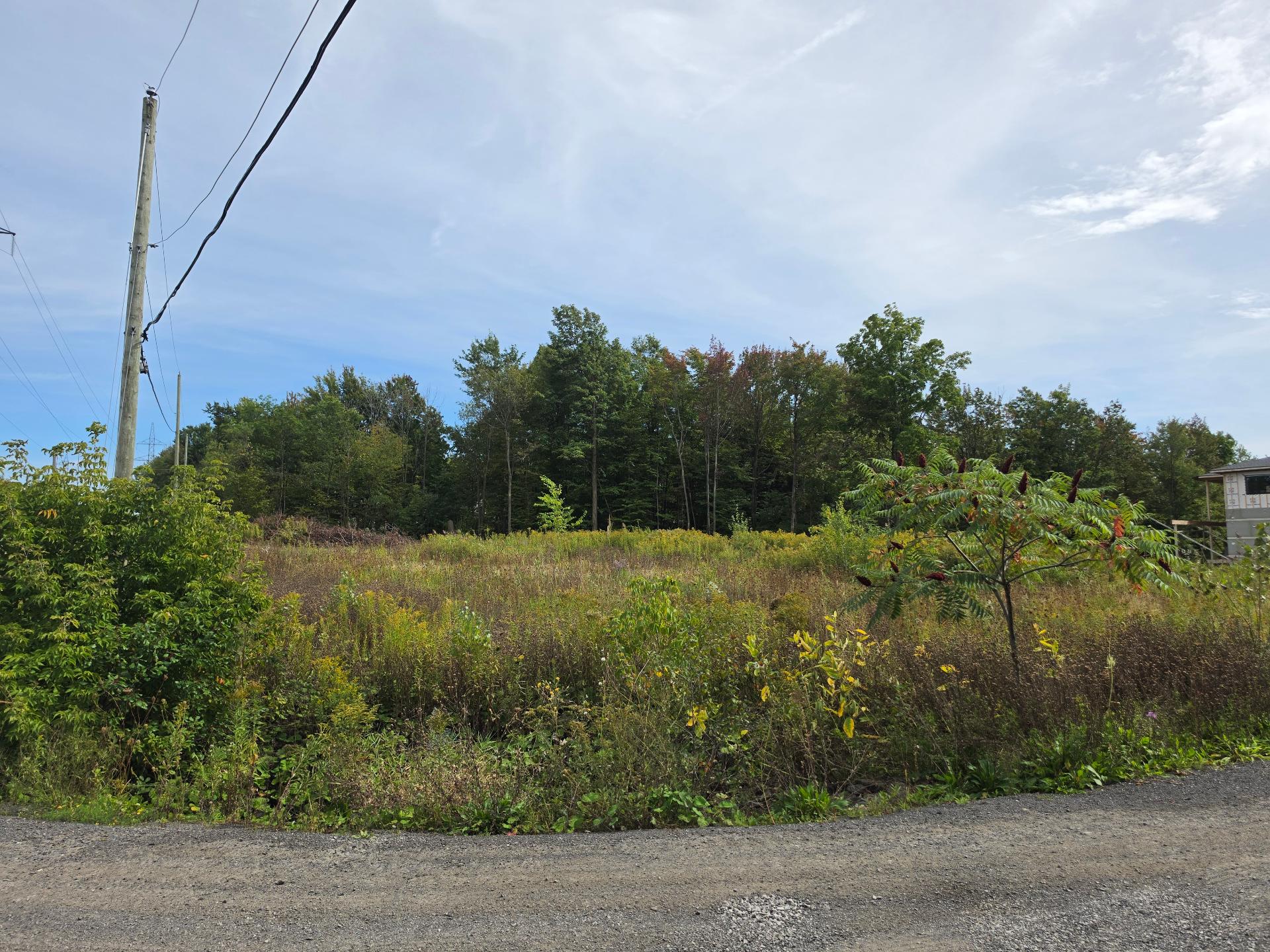 MLS: 18407000