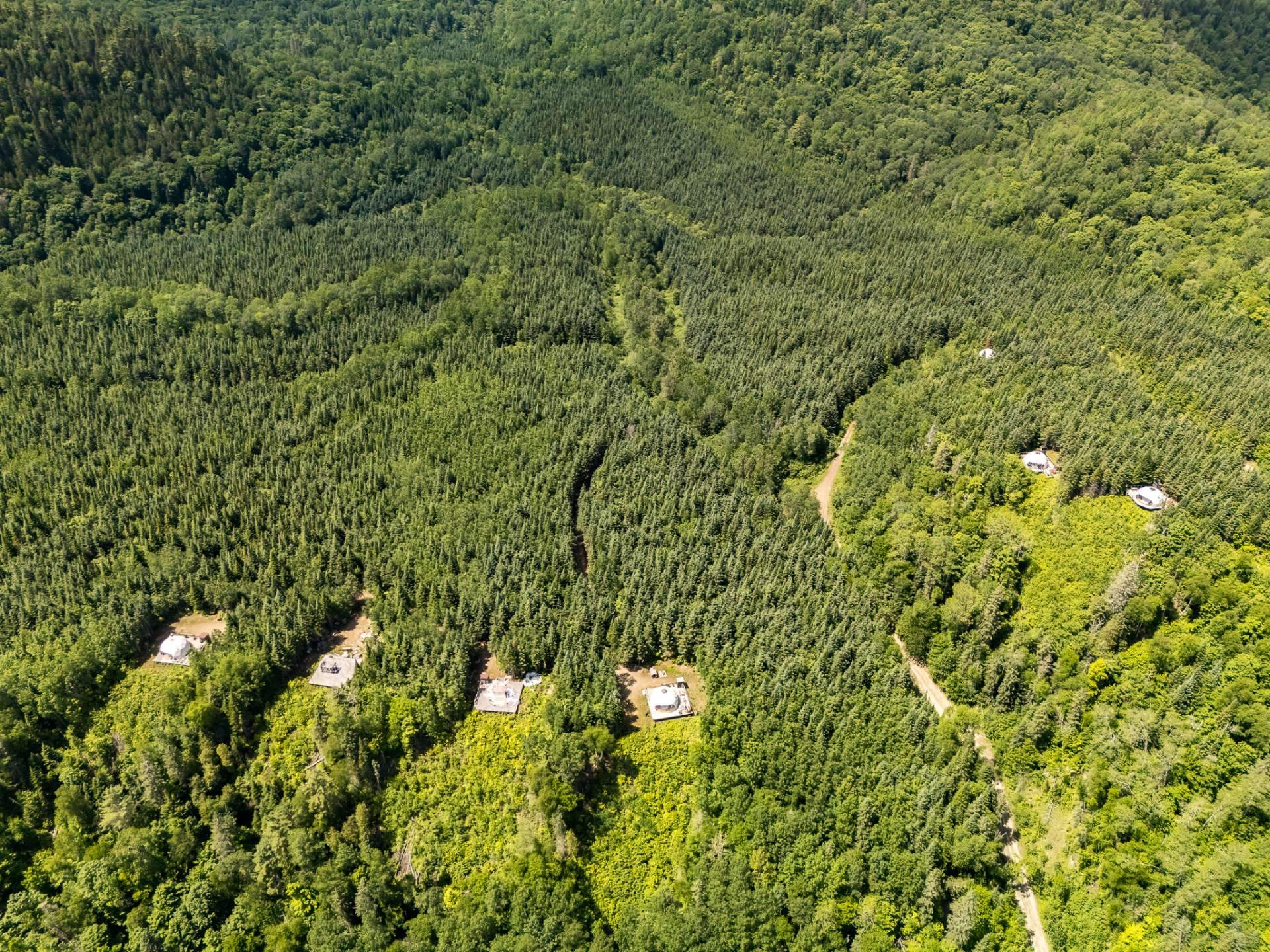 MLS: 10053912