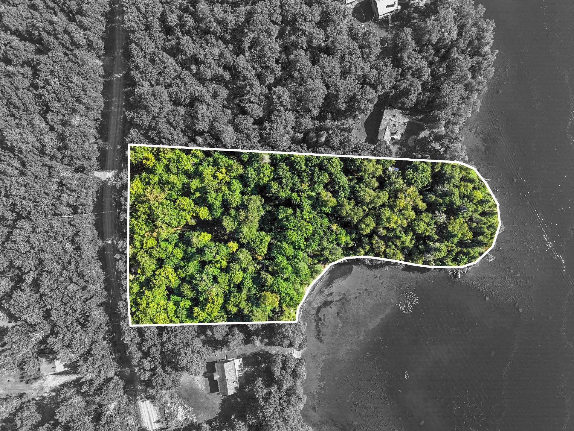 MLS: 14646004