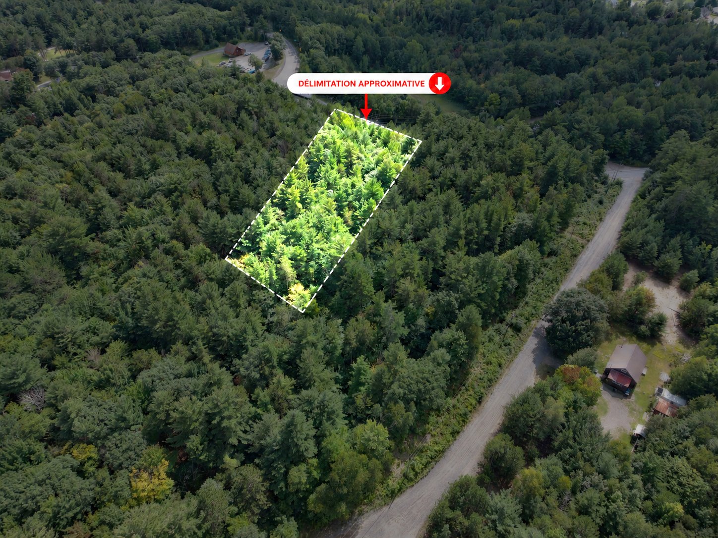 MLS: 17016926
