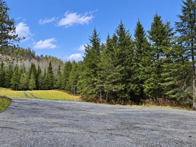 MLS: 14915101
