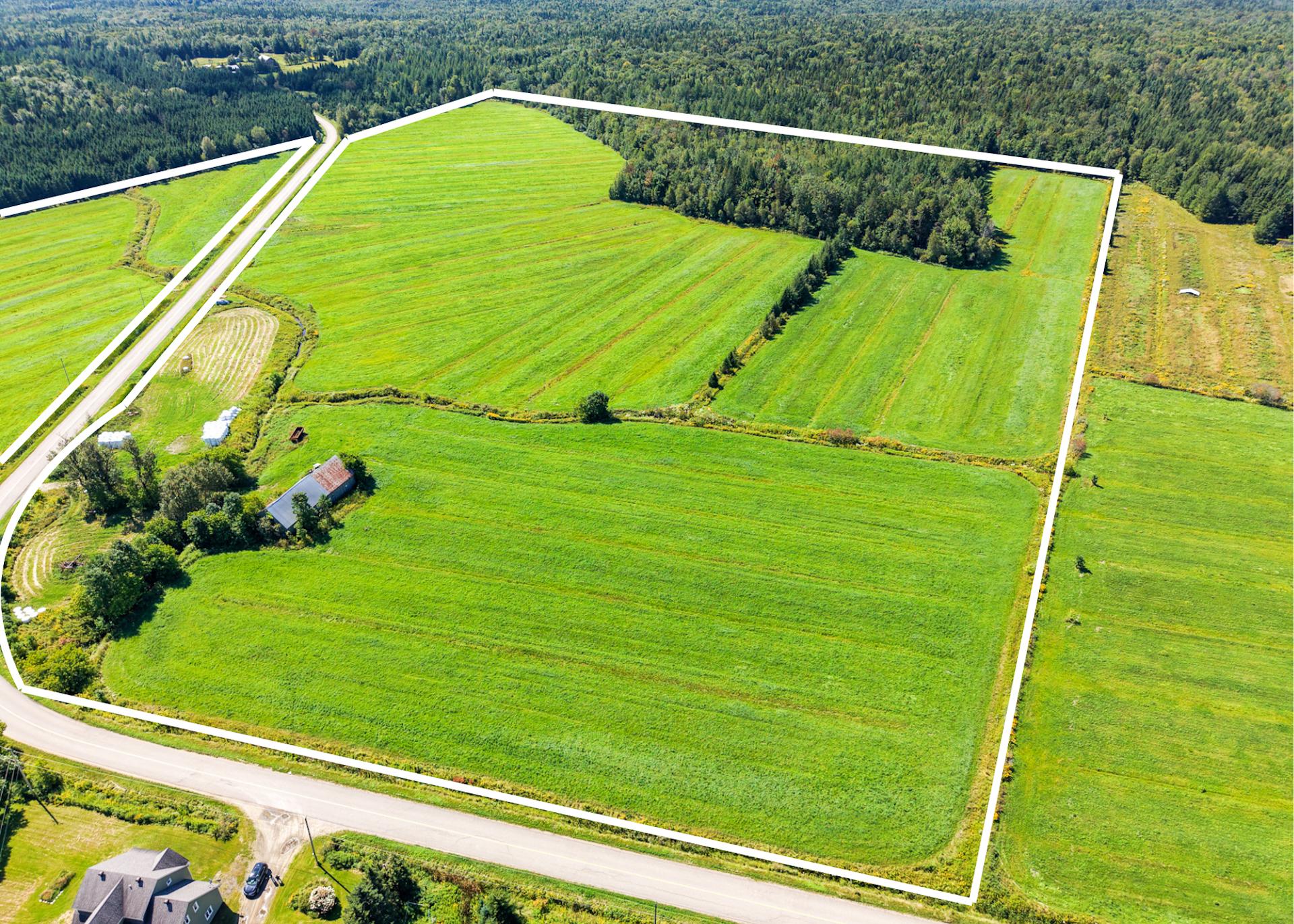 MLS: 20639938
