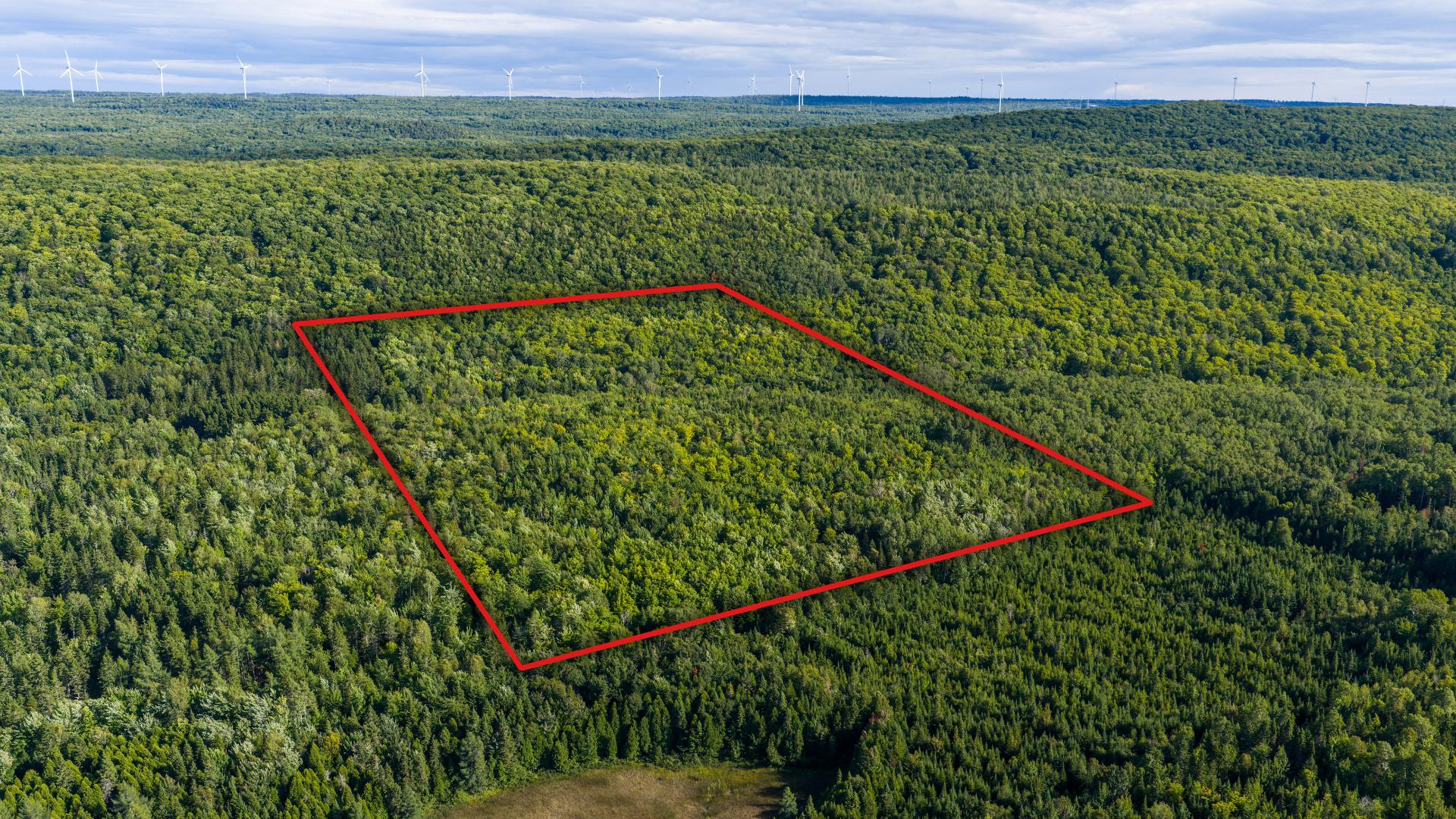 MLS: 22195041
