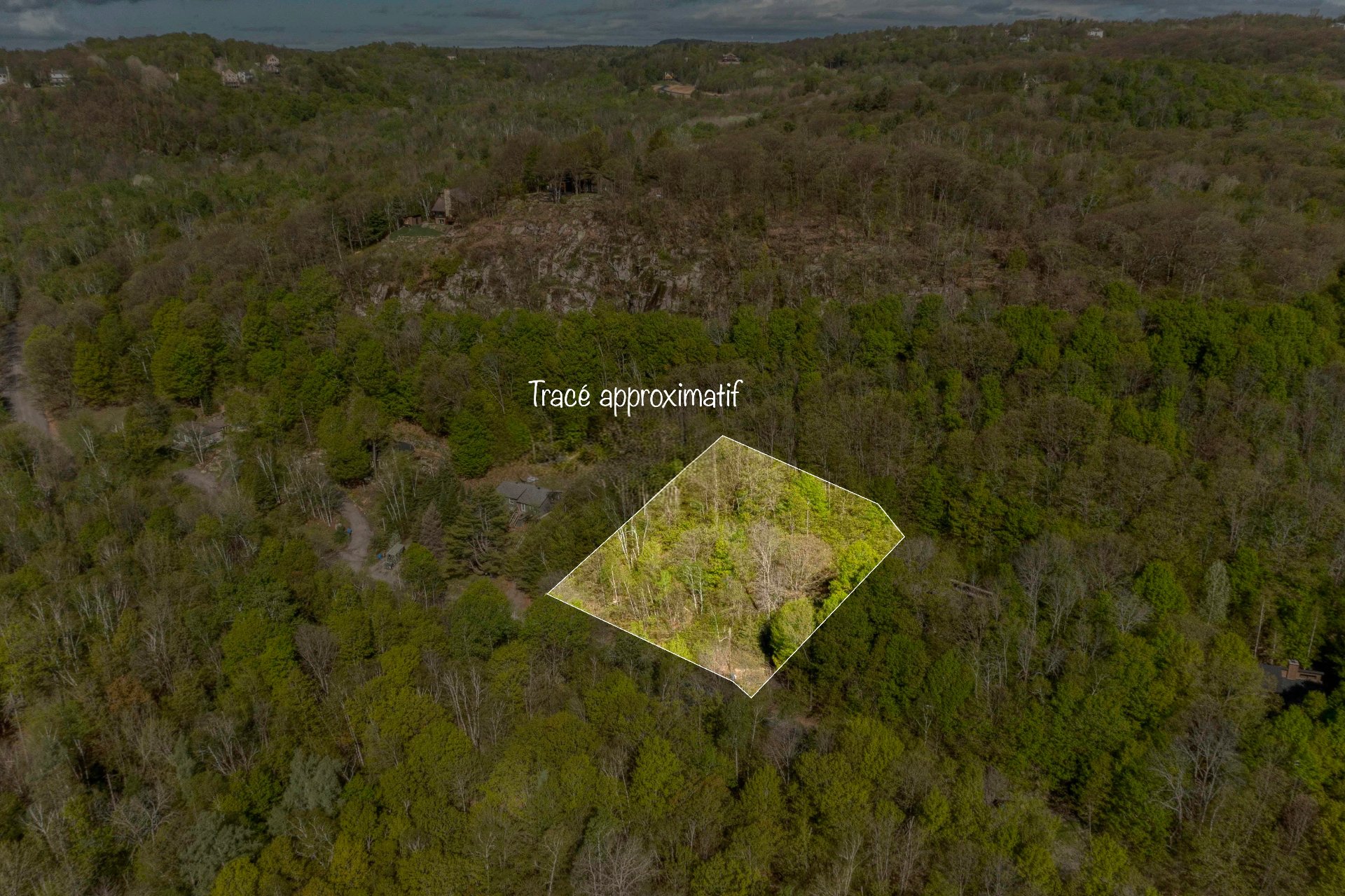 MLS: 15647032
