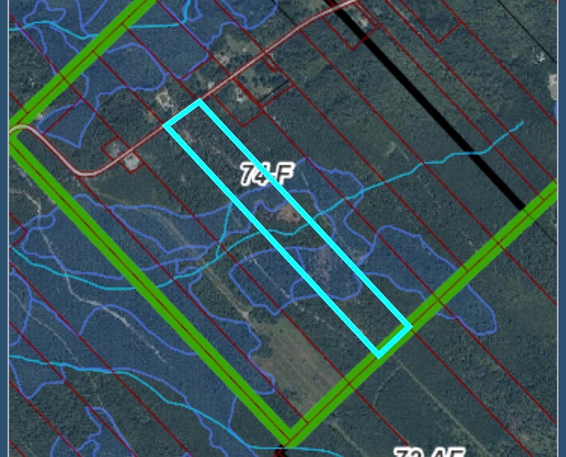 MLS: 13333043