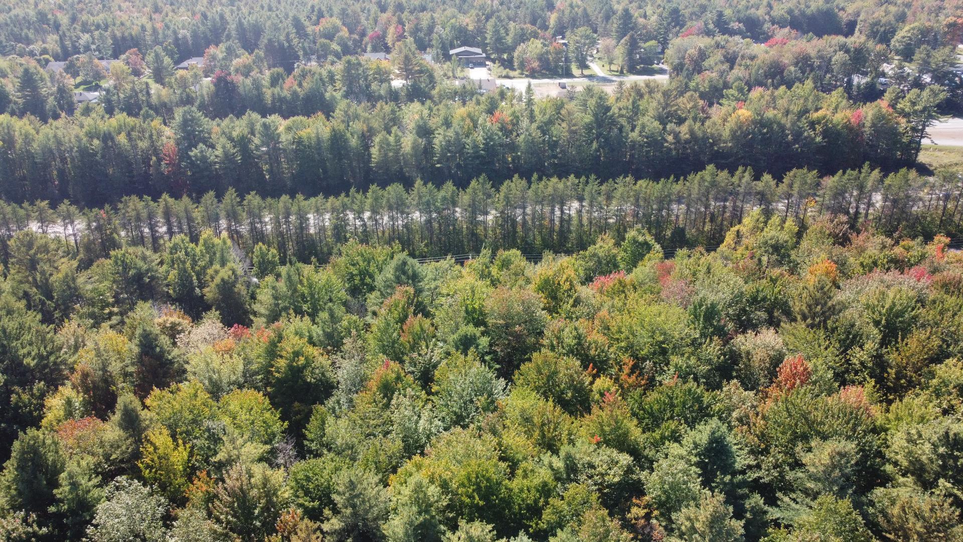 MLS: 22234693