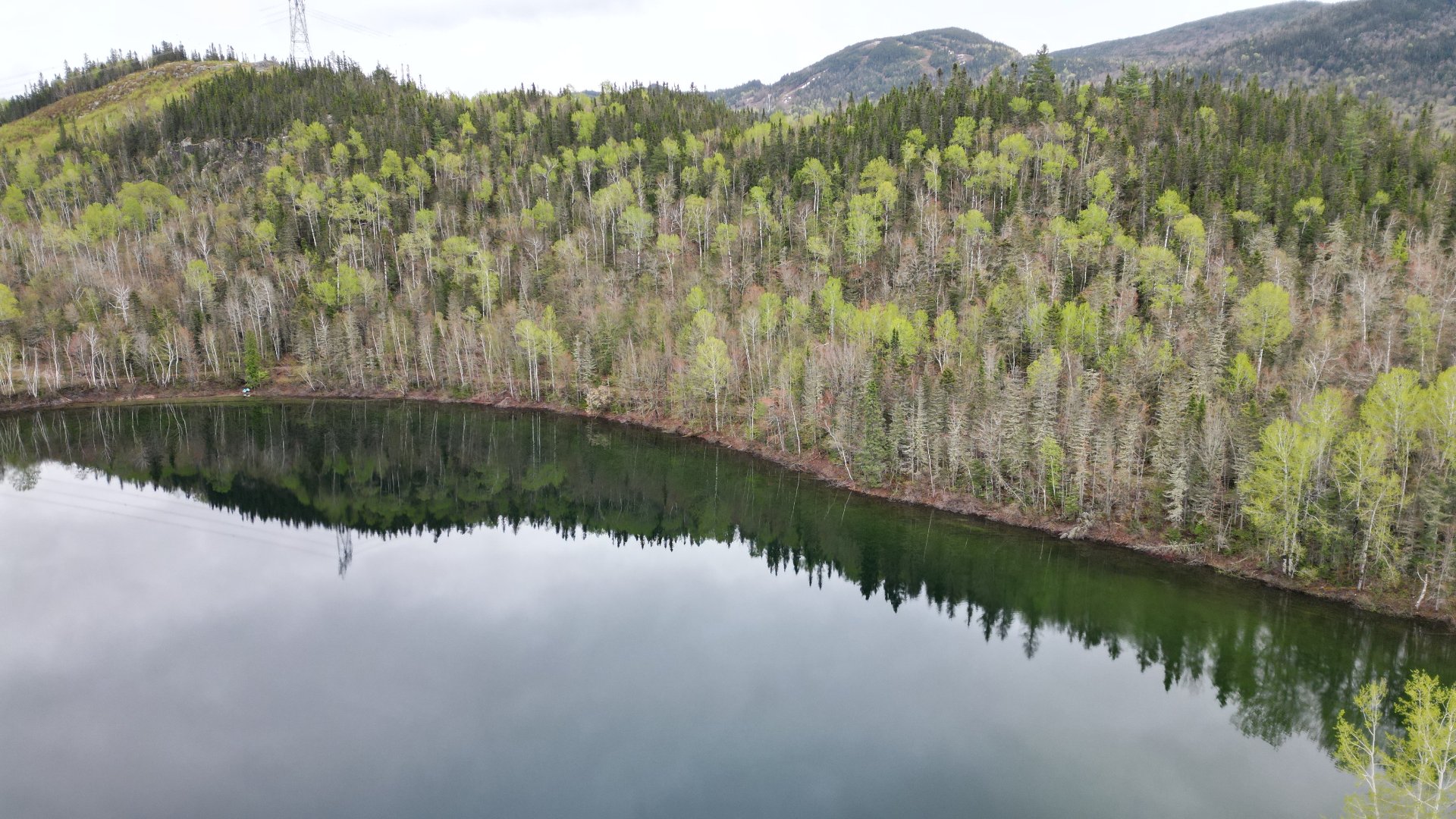 MLS: 16883433