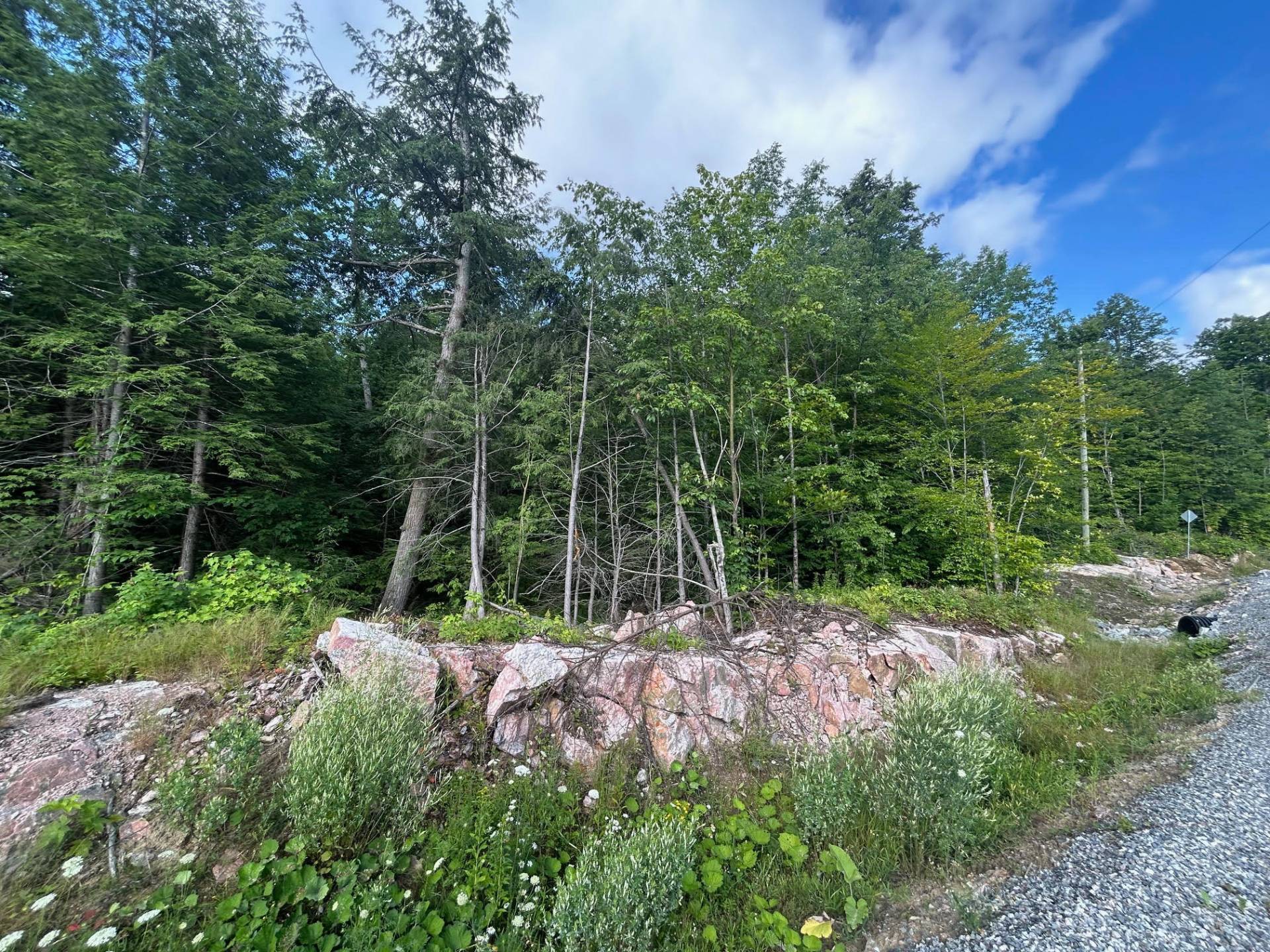 MLS: 16737909