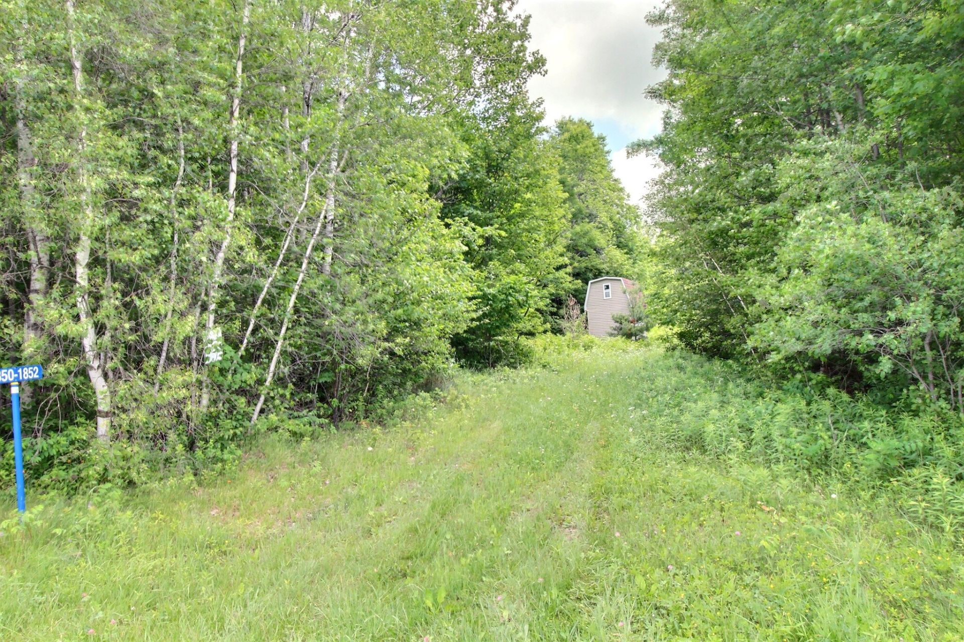 MLS: 11885959