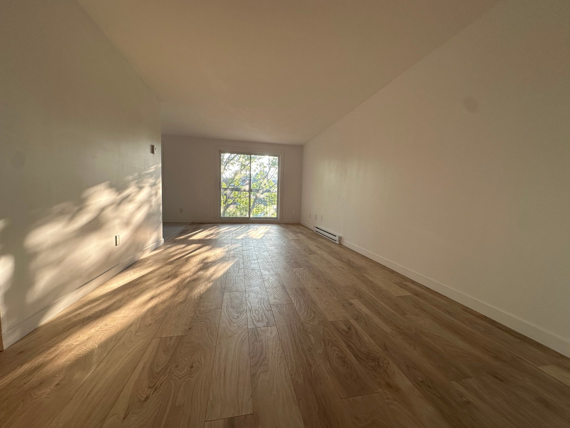 MLS: 26841231