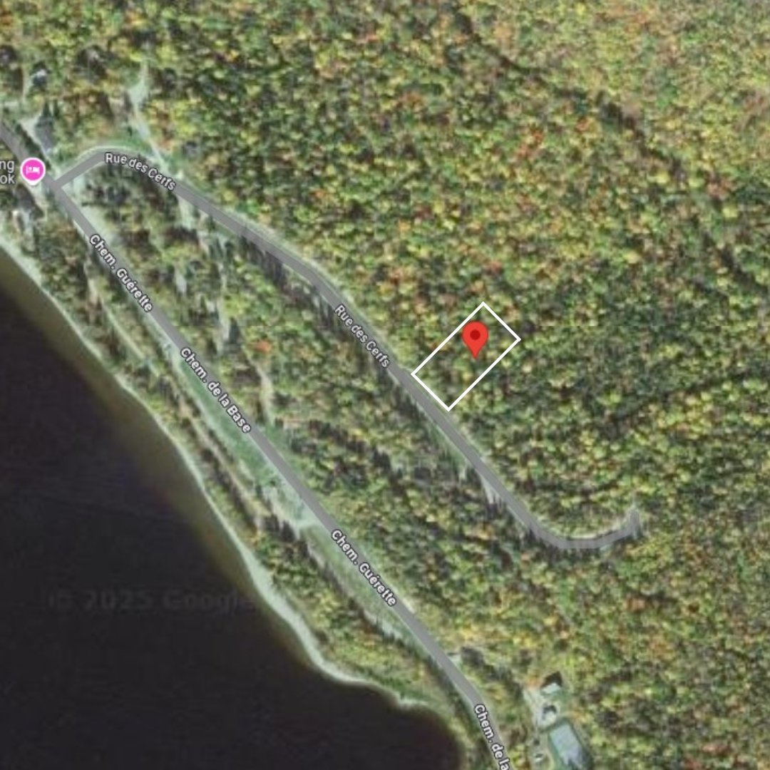 MLS: 25312786