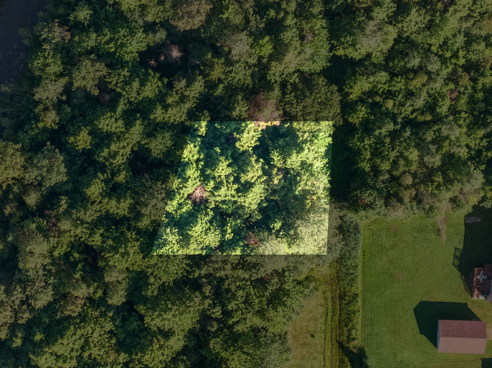 MLS: 16372074