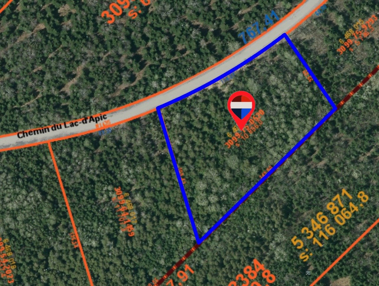 MLS: 13771305