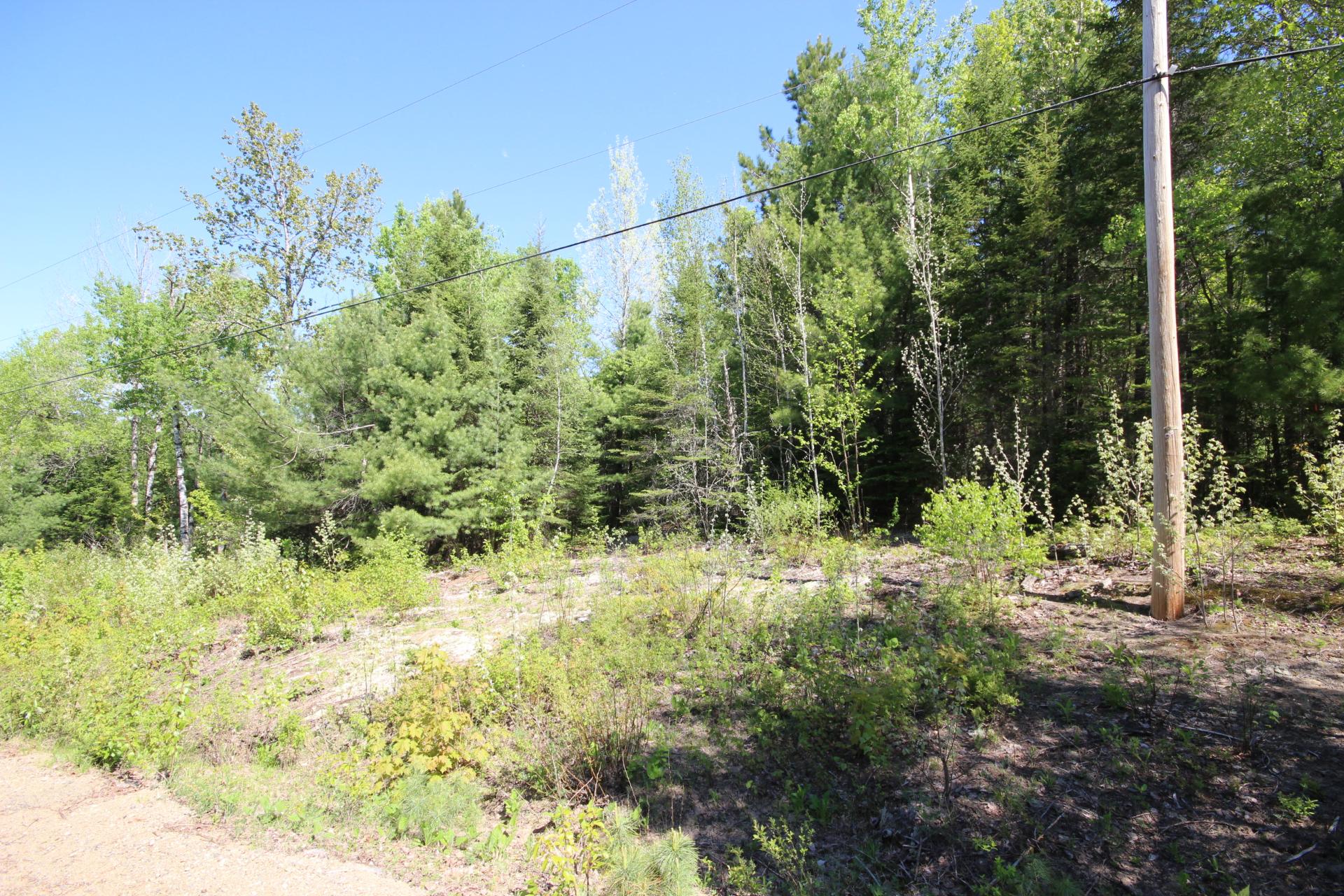 MLS: 24546926