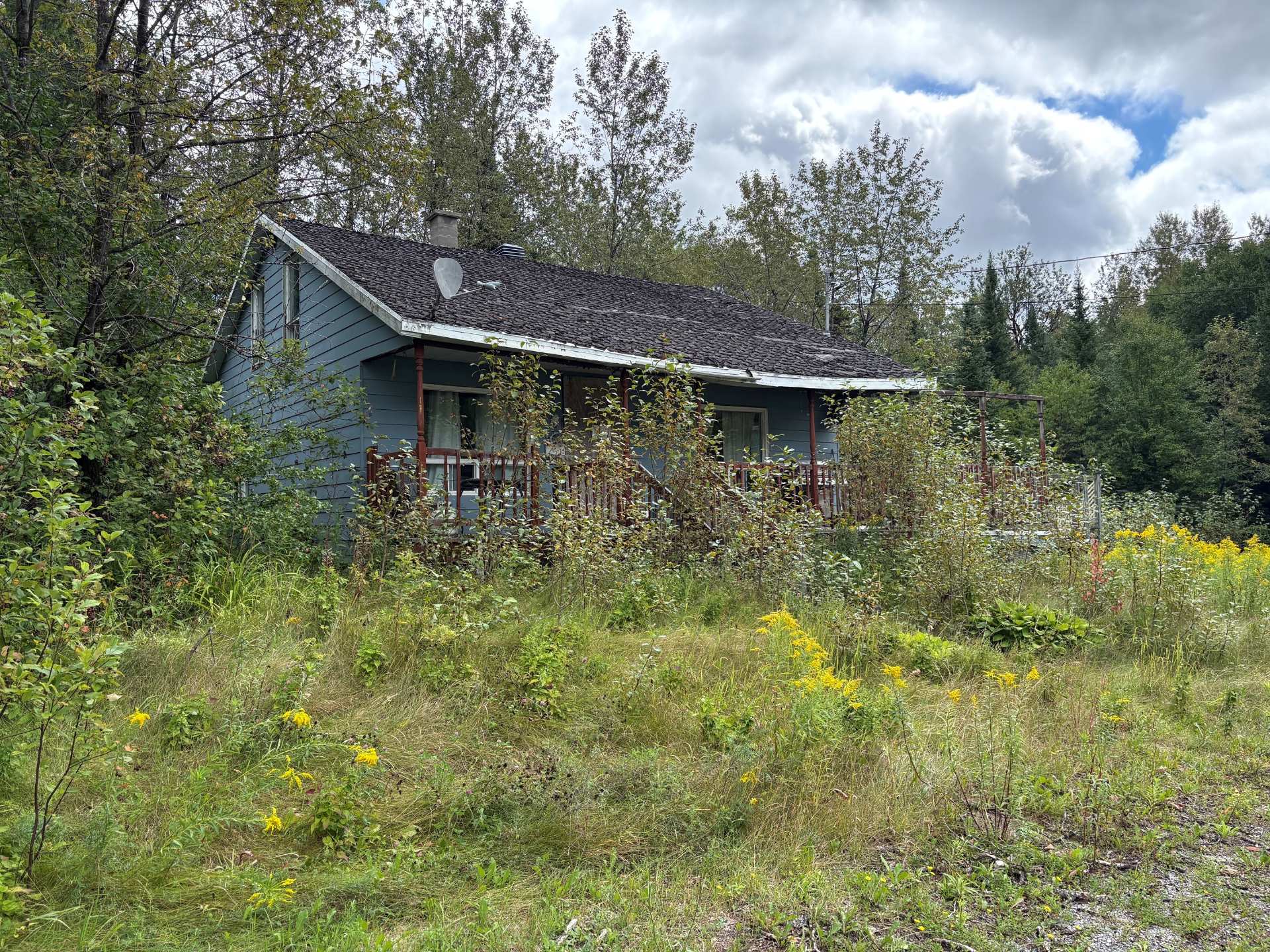 MLS: 23787042
