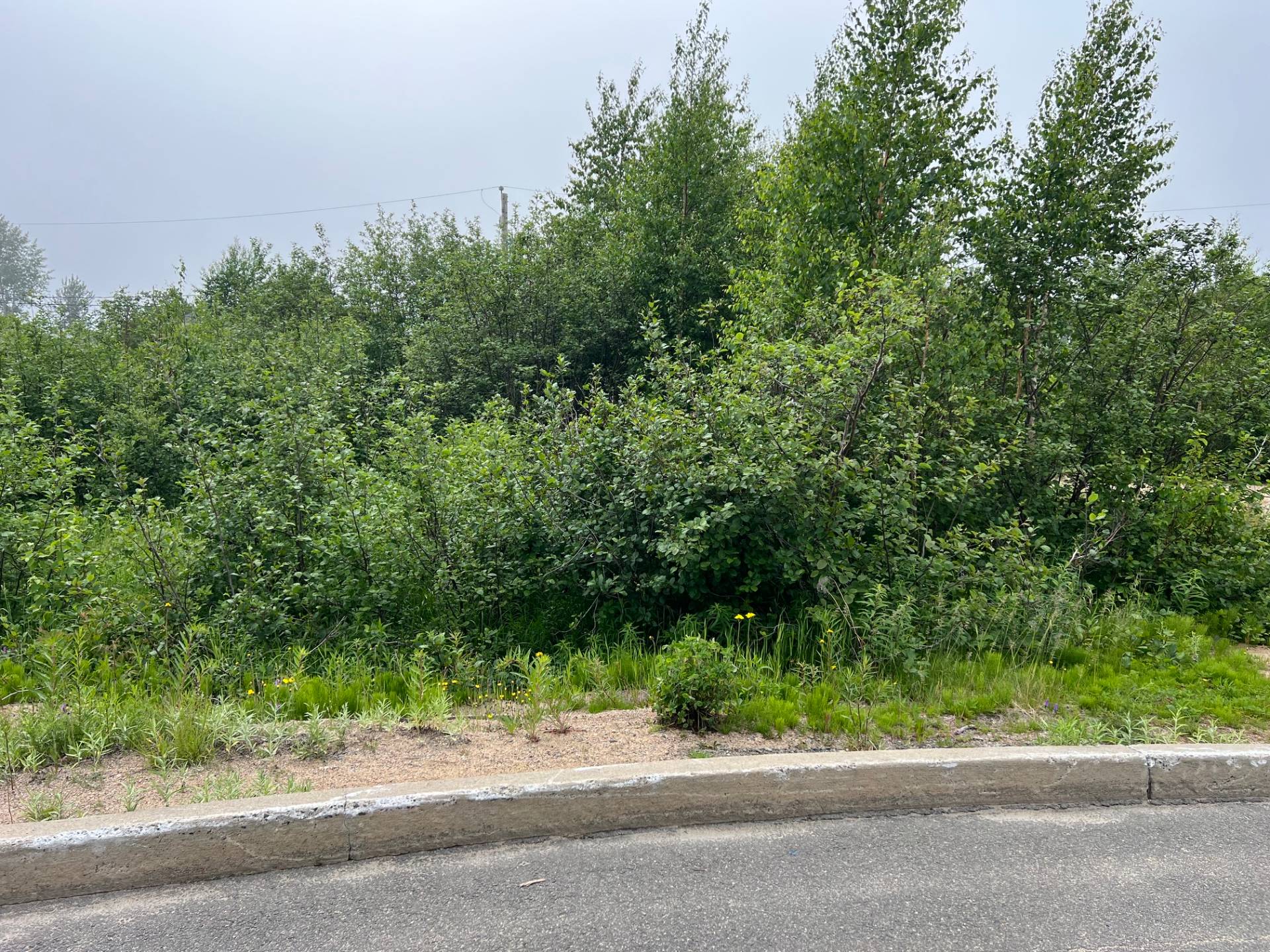 MLS: 25208164