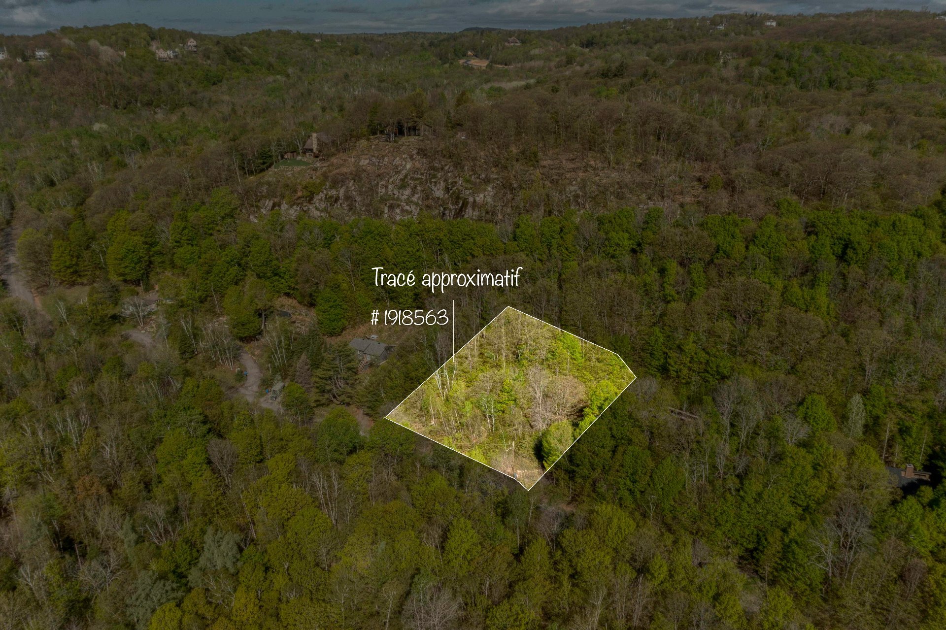 MLS: 15647032
