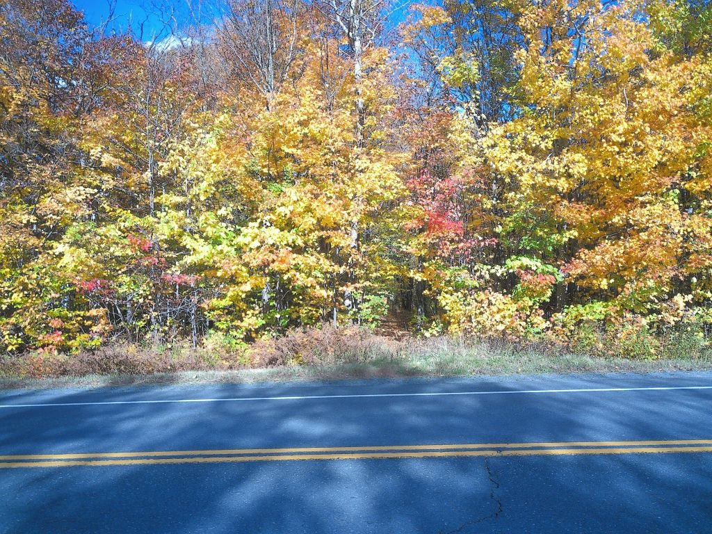 MLS: 16357509