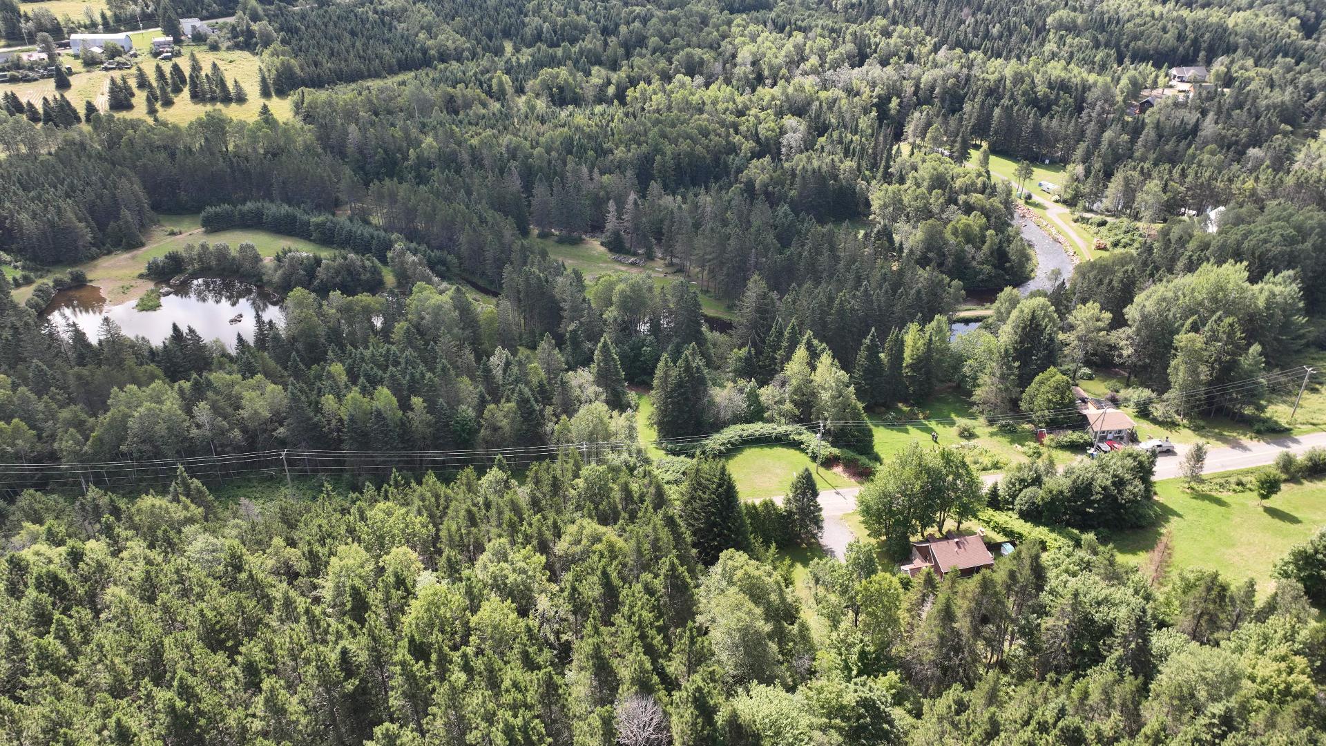 MLS: 13133305