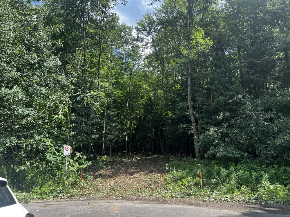 MLS: 14473465