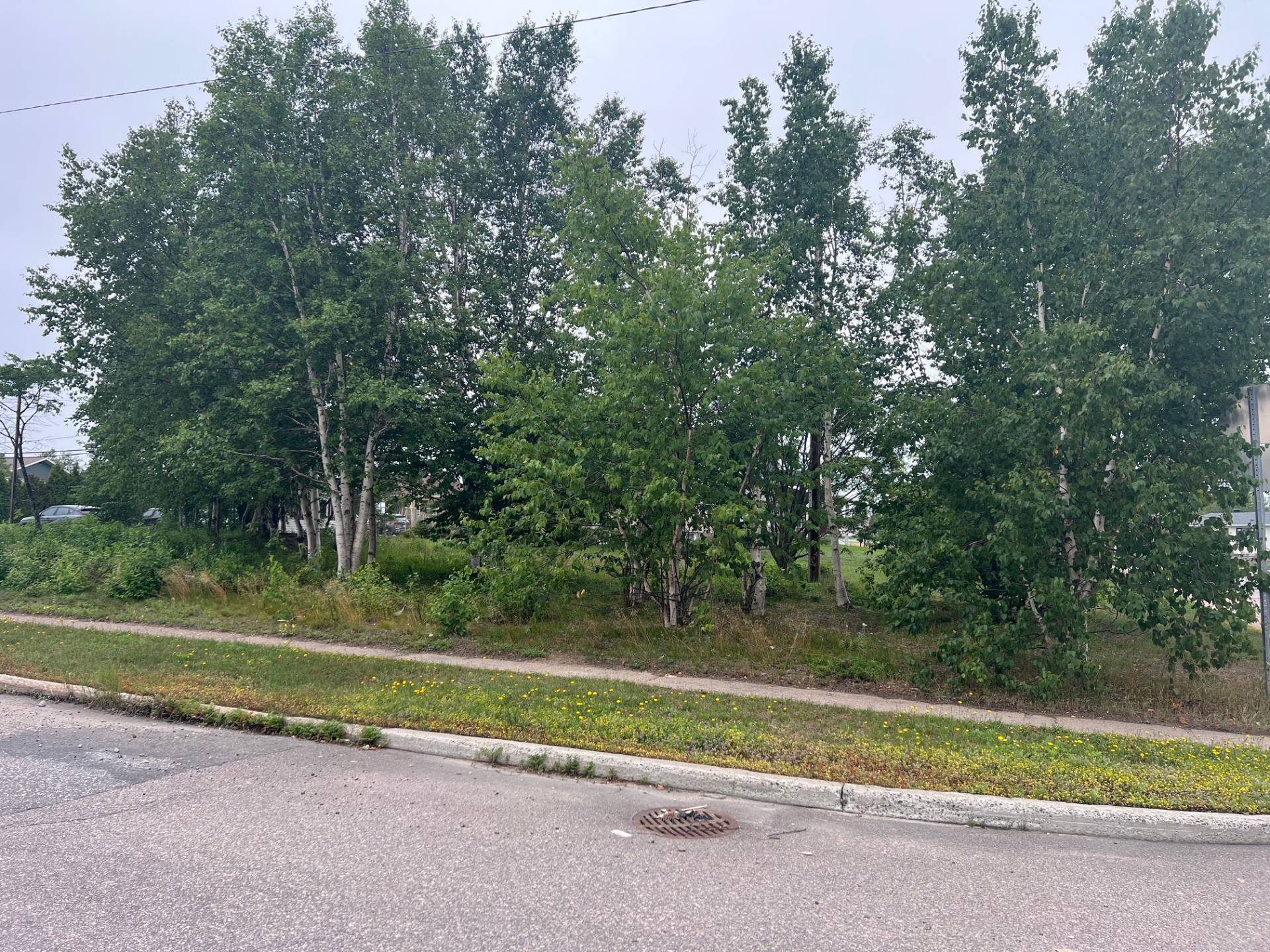 MLS: 25208164