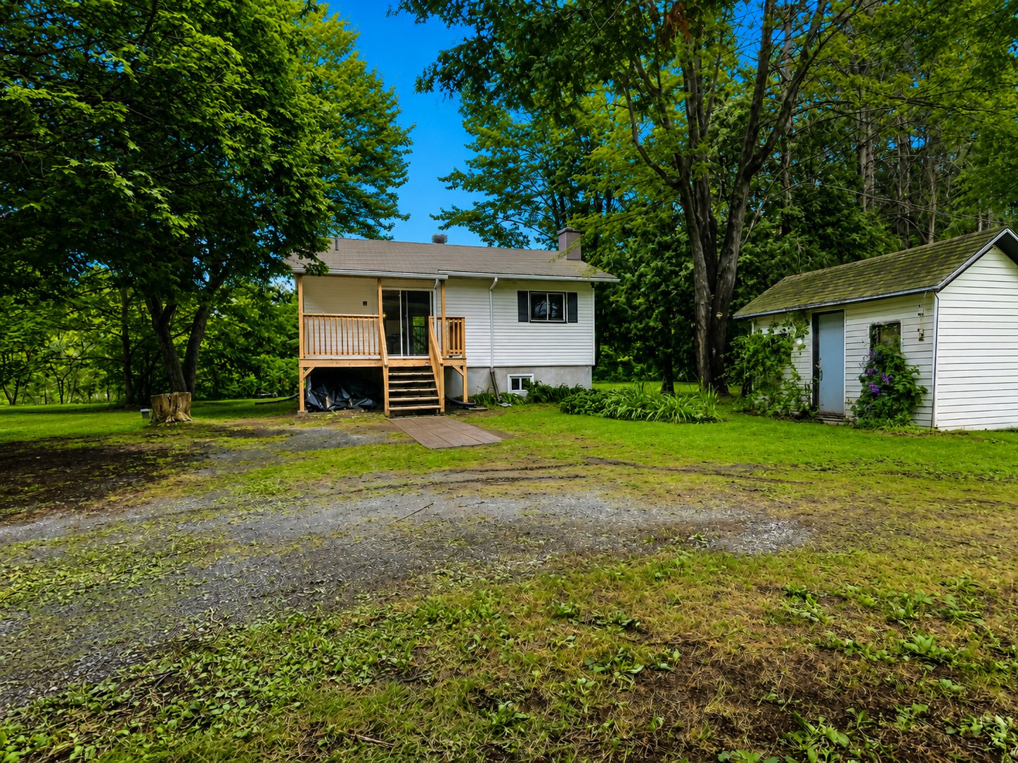MLS: 11546805