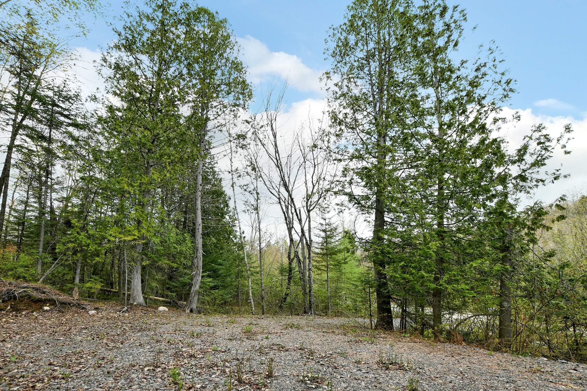 MLS: 16326914