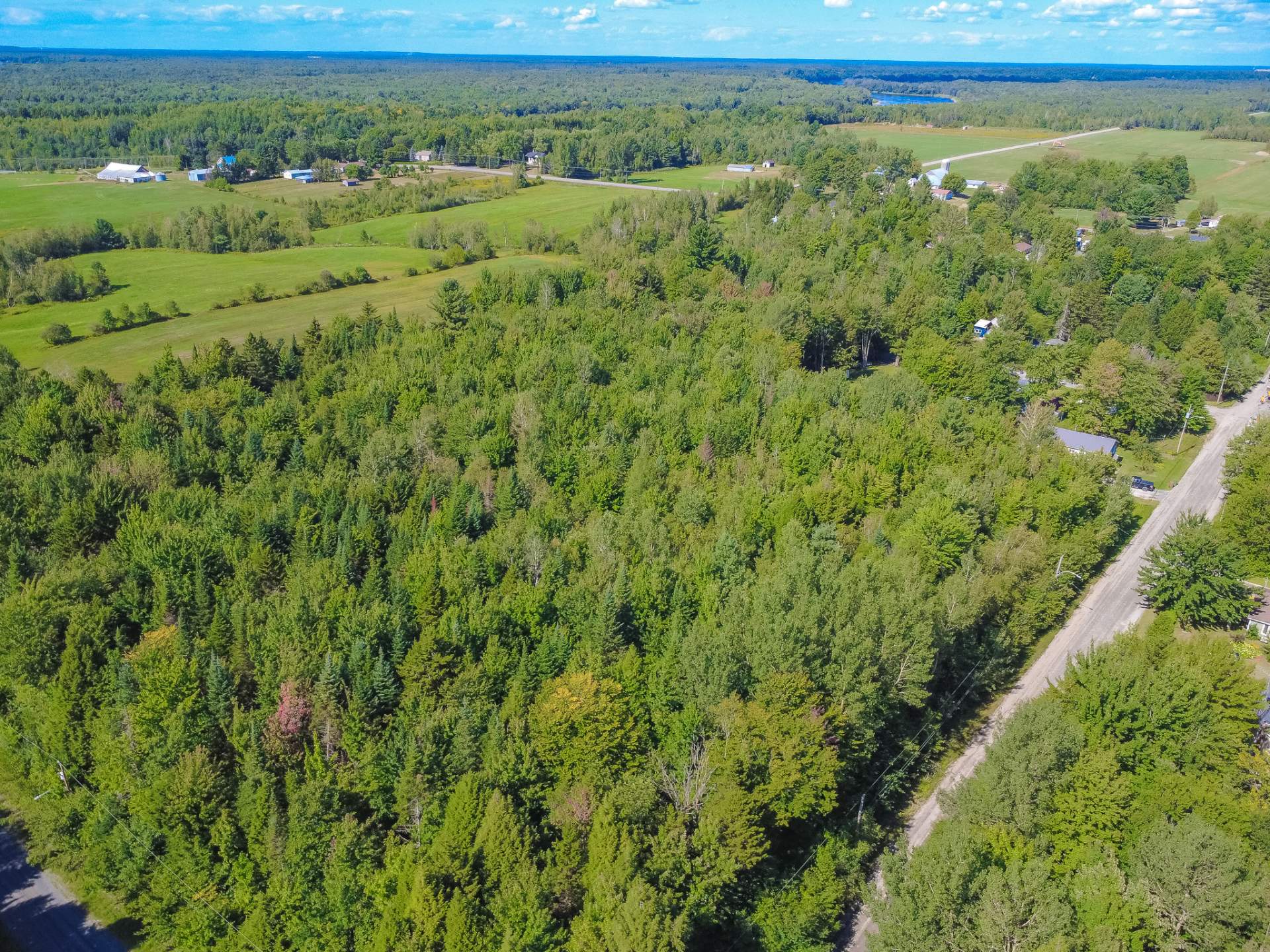 MLS: 16004515
