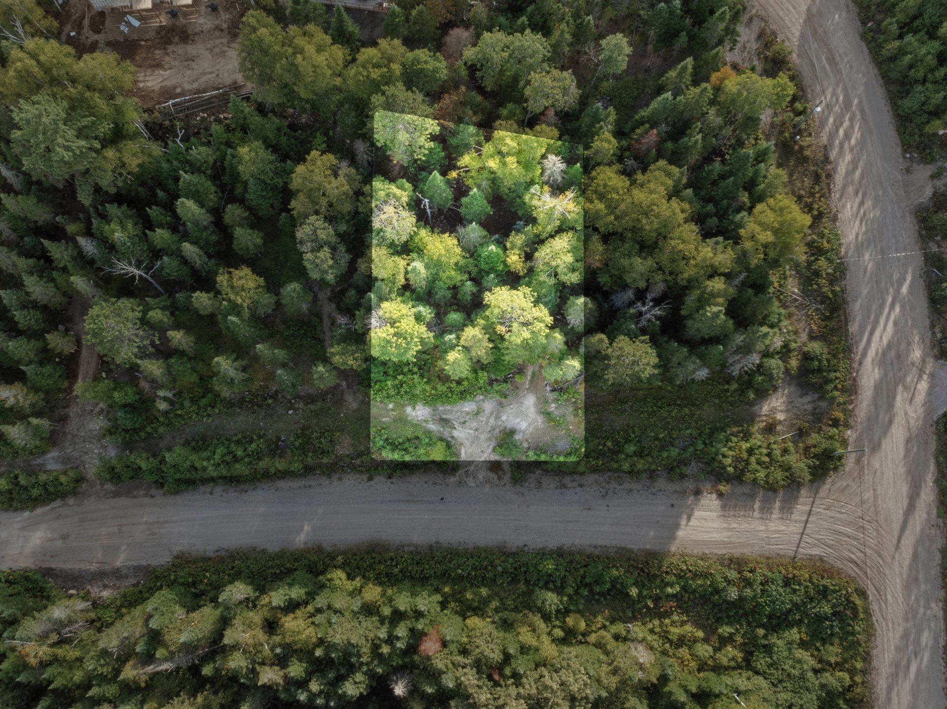 MLS: 25010731