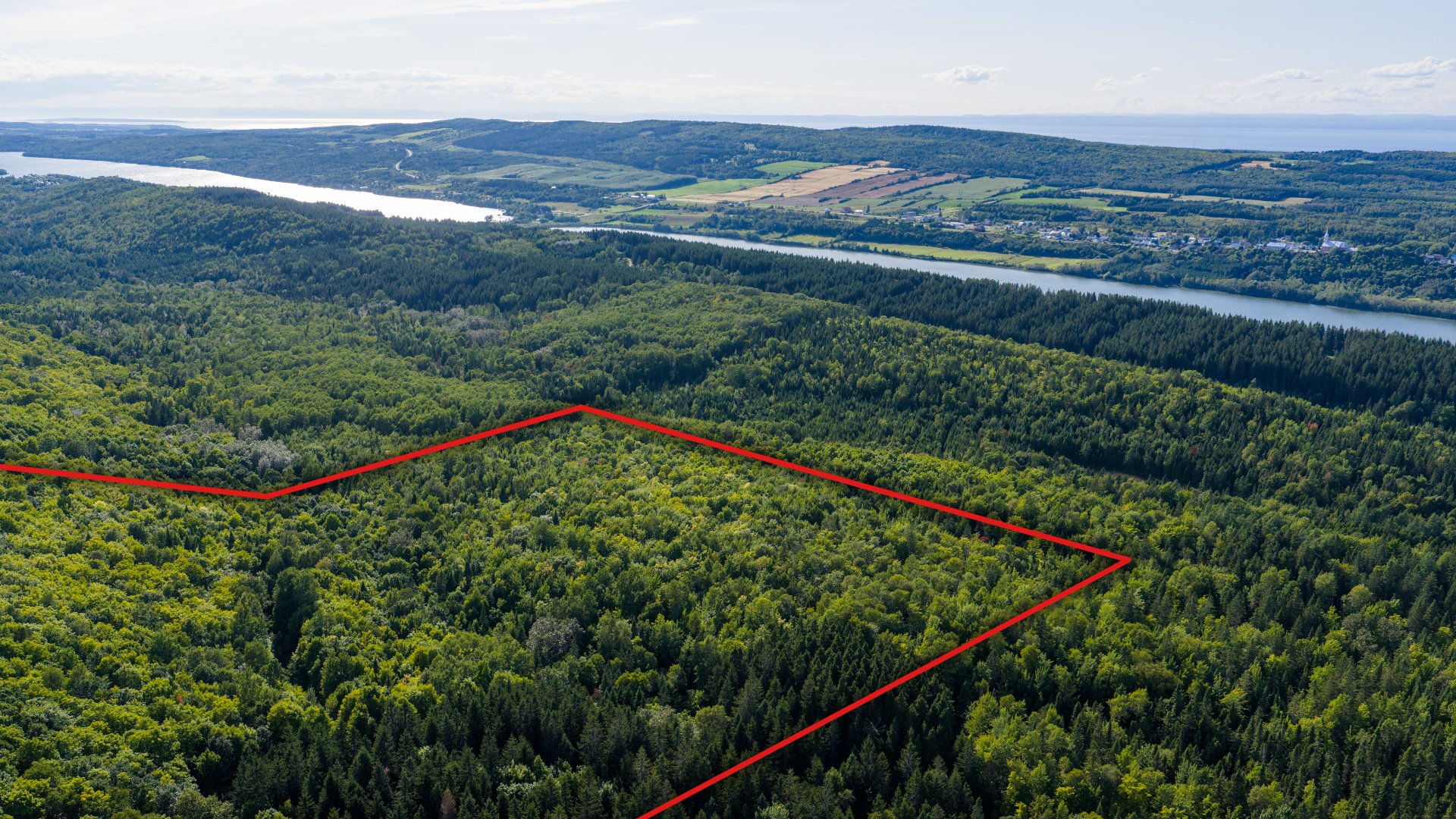 MLS: 22195041