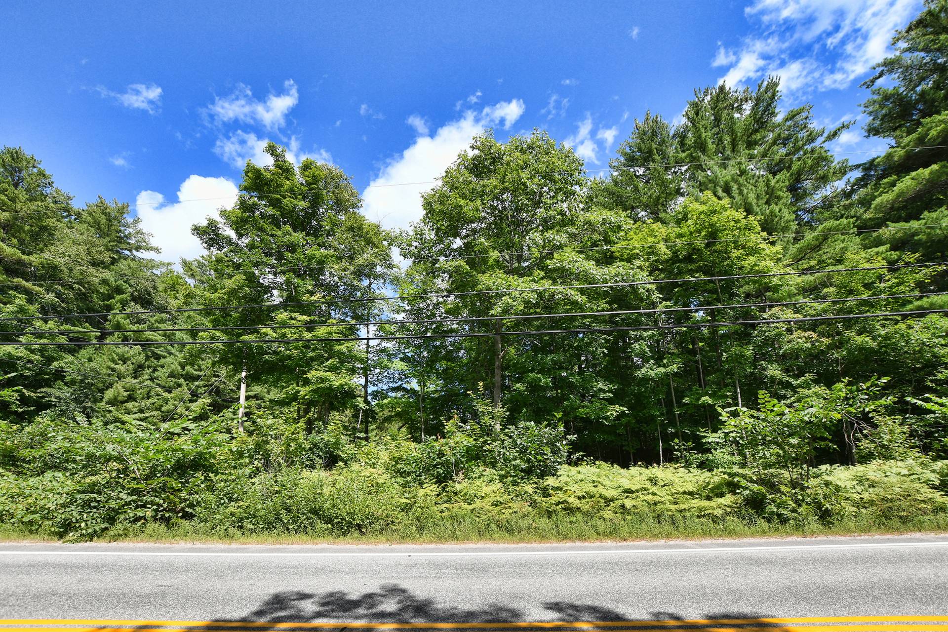 MLS: 17016926