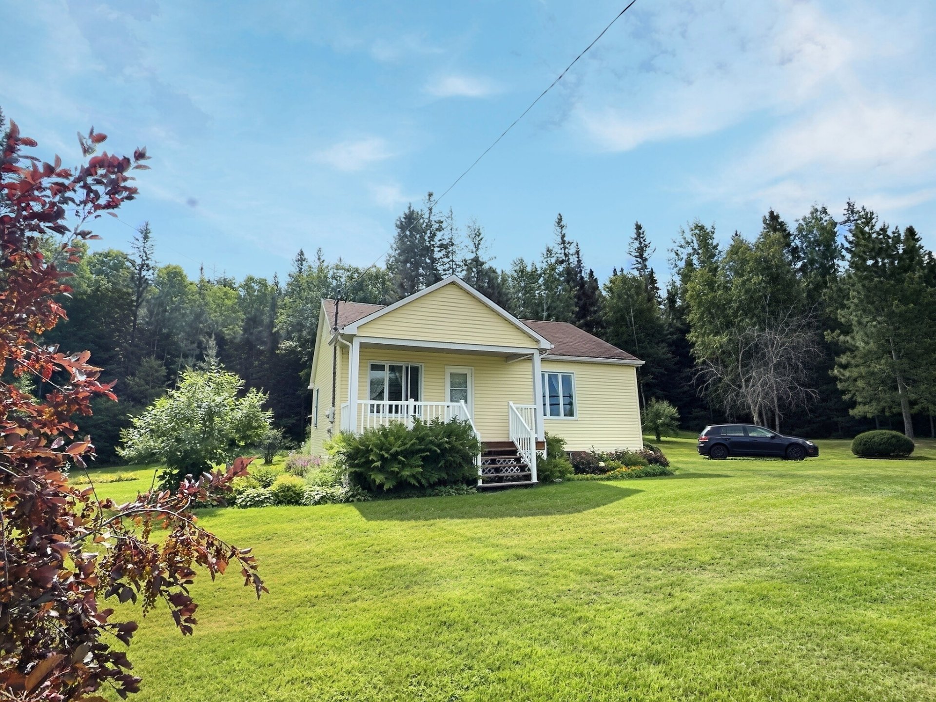 MLS: 16445452