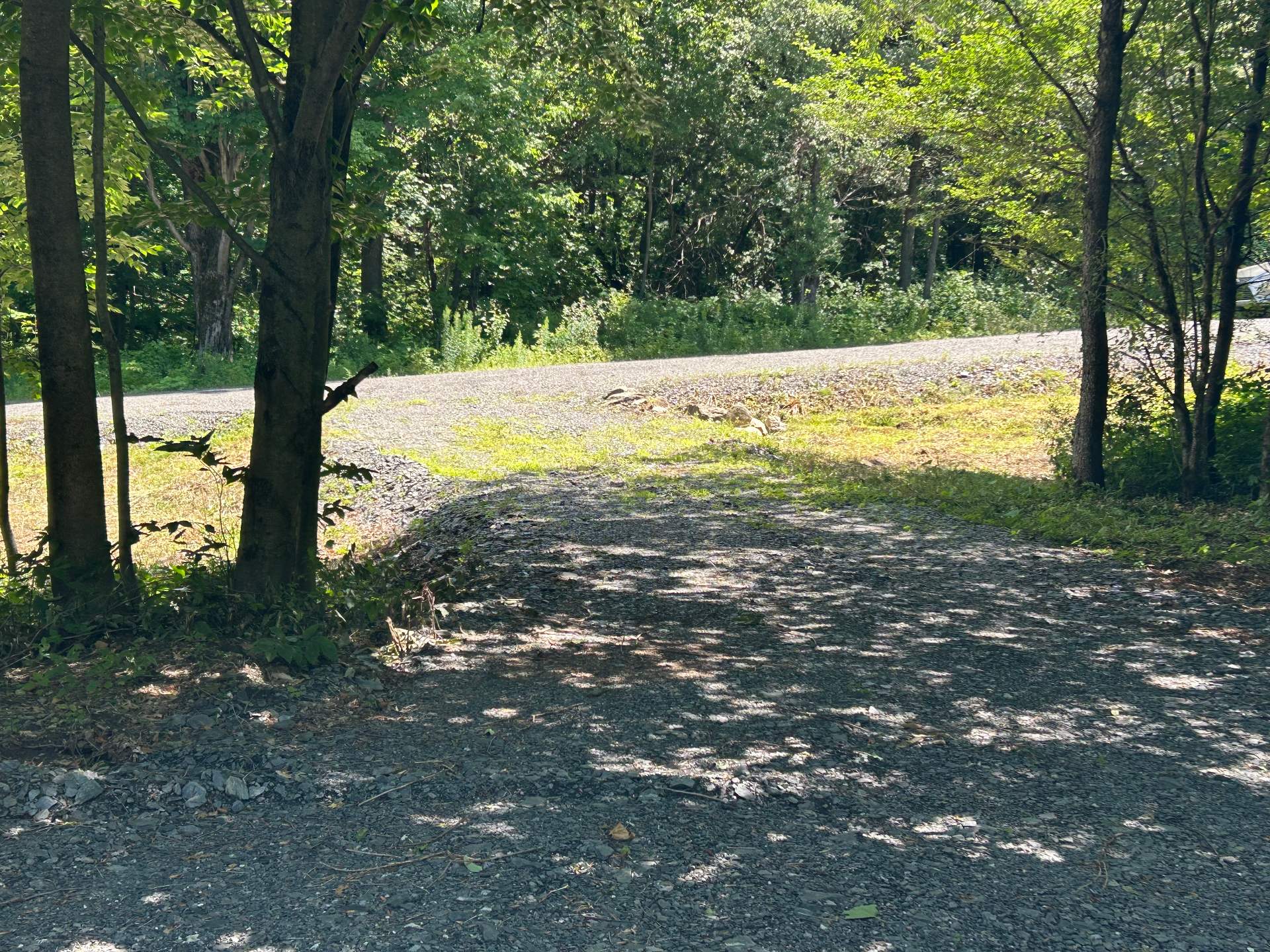 MLS: 14056002
