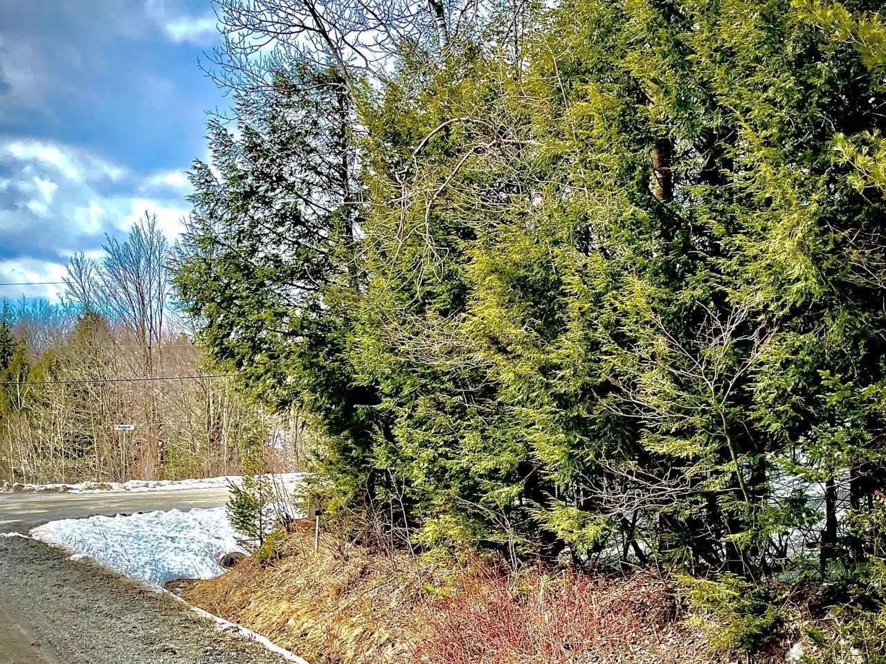 MLS: 12994952