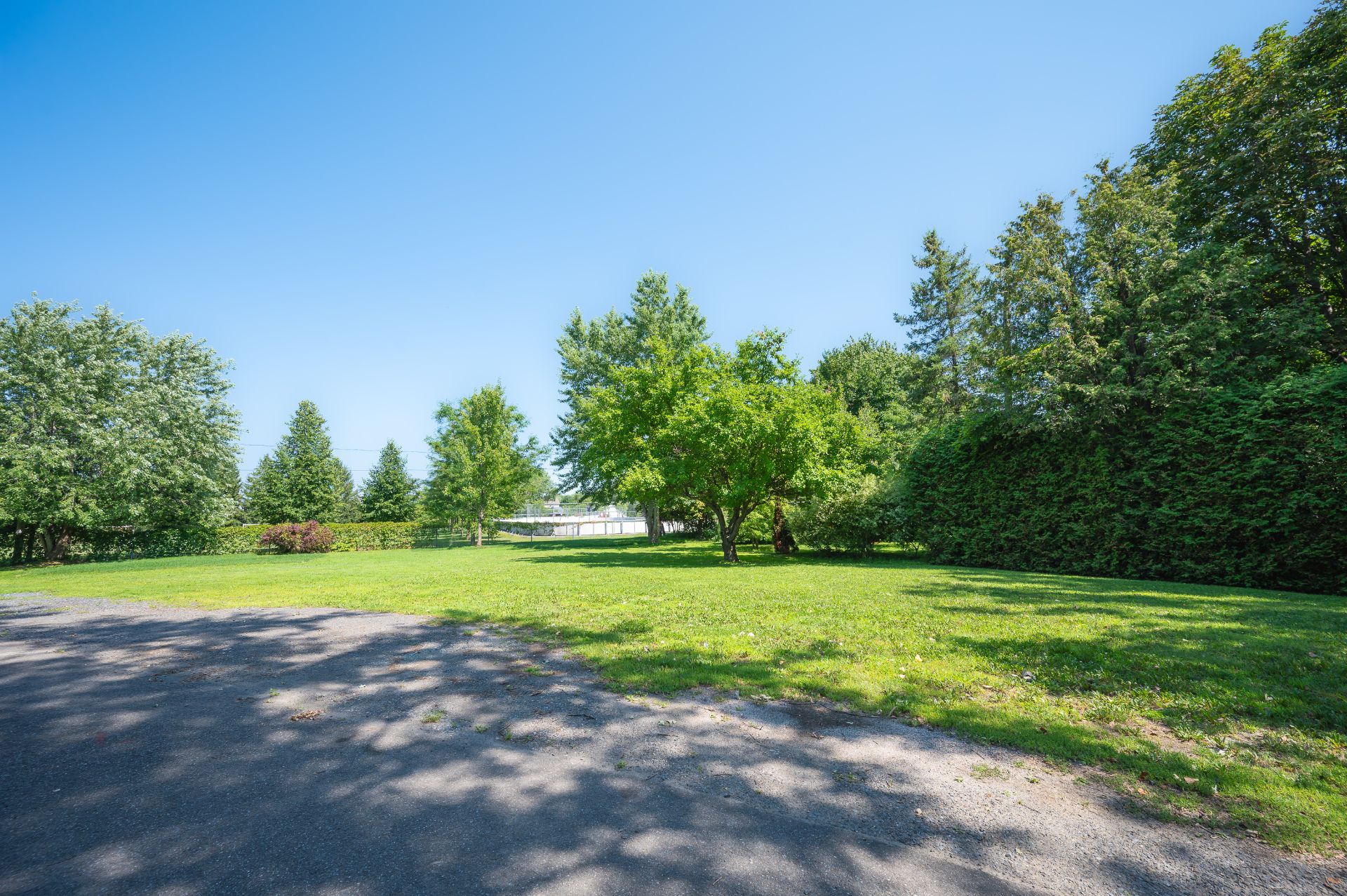 MLS: 11123599