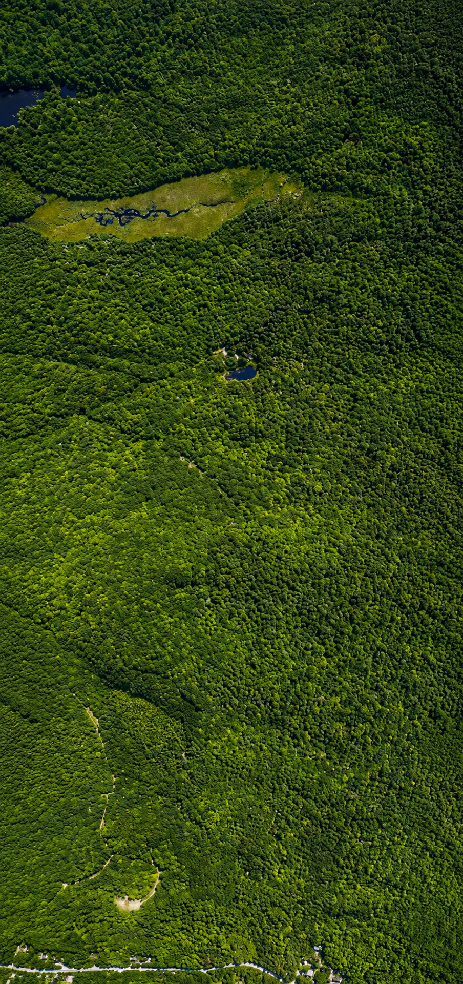 MLS: 12426105