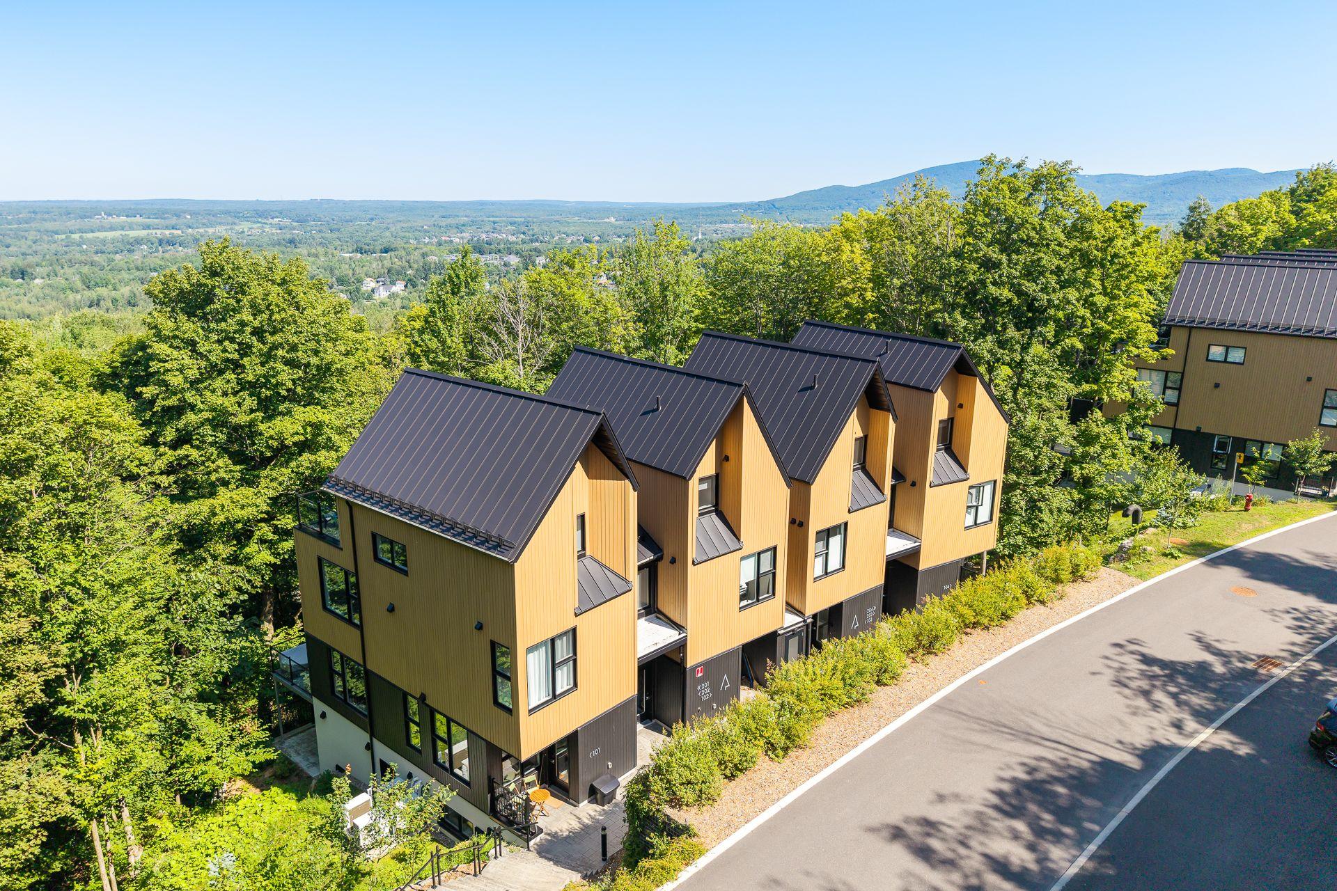 MLS: 12875882