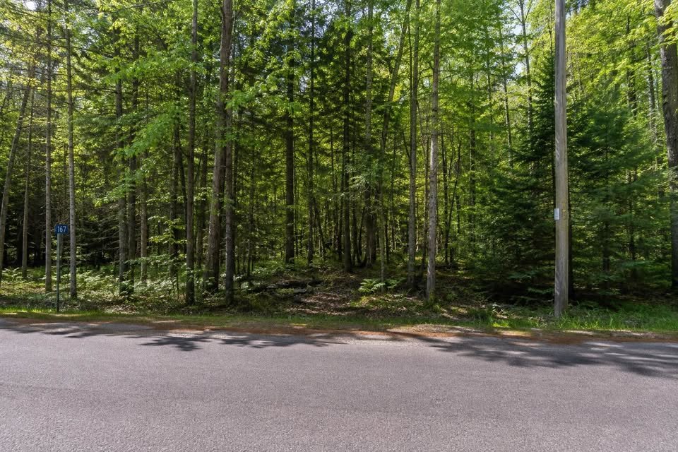 MLS: 16553256