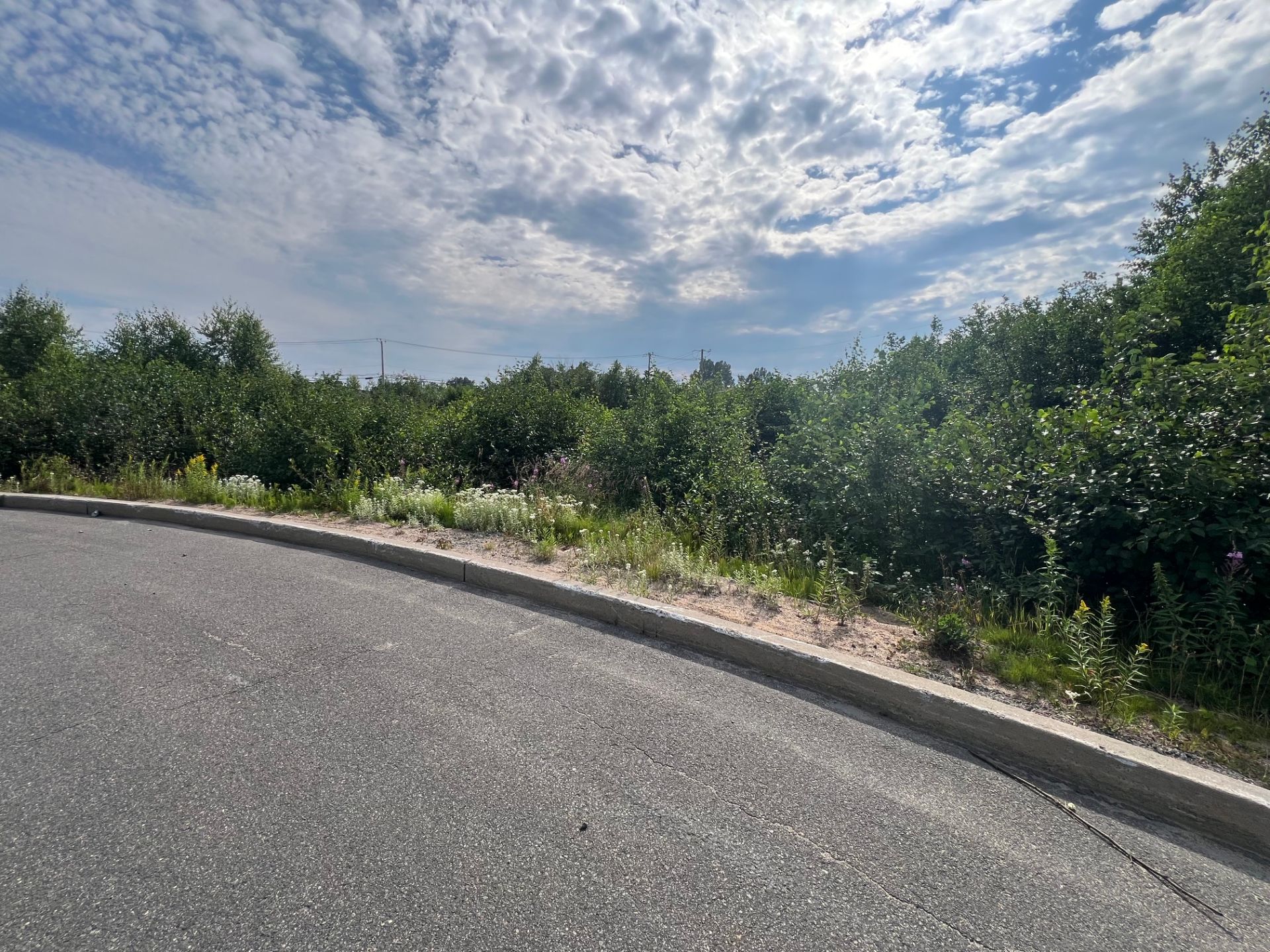 MLS: 22986545