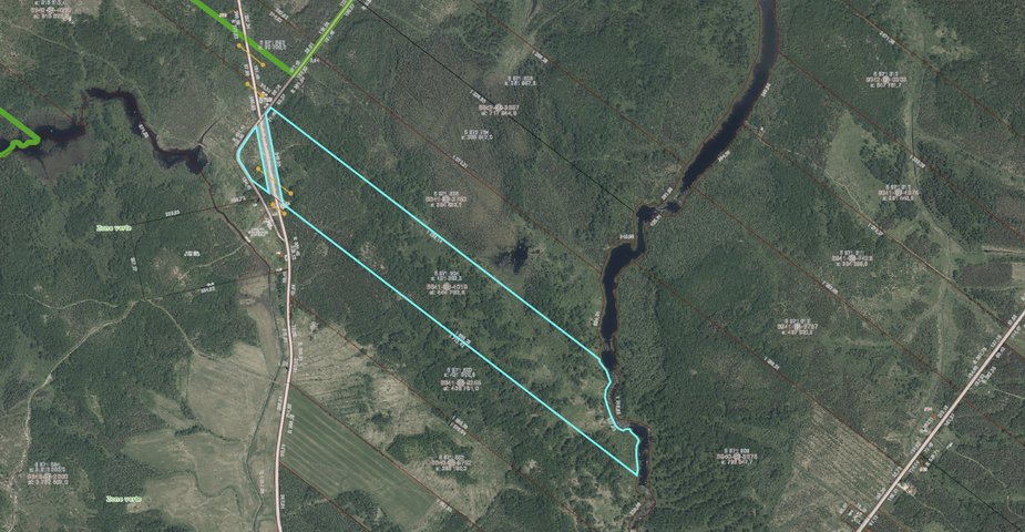MLS: 13154715