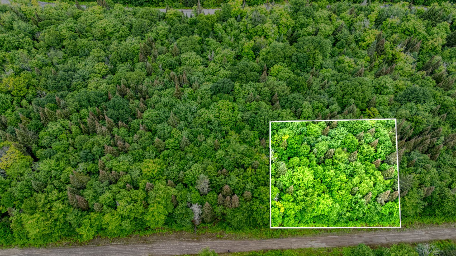 MLS: 24319742