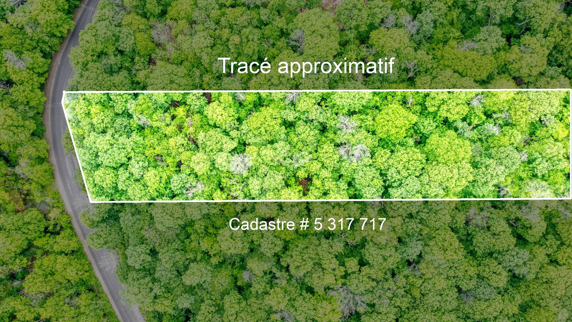 MLS: 11431781