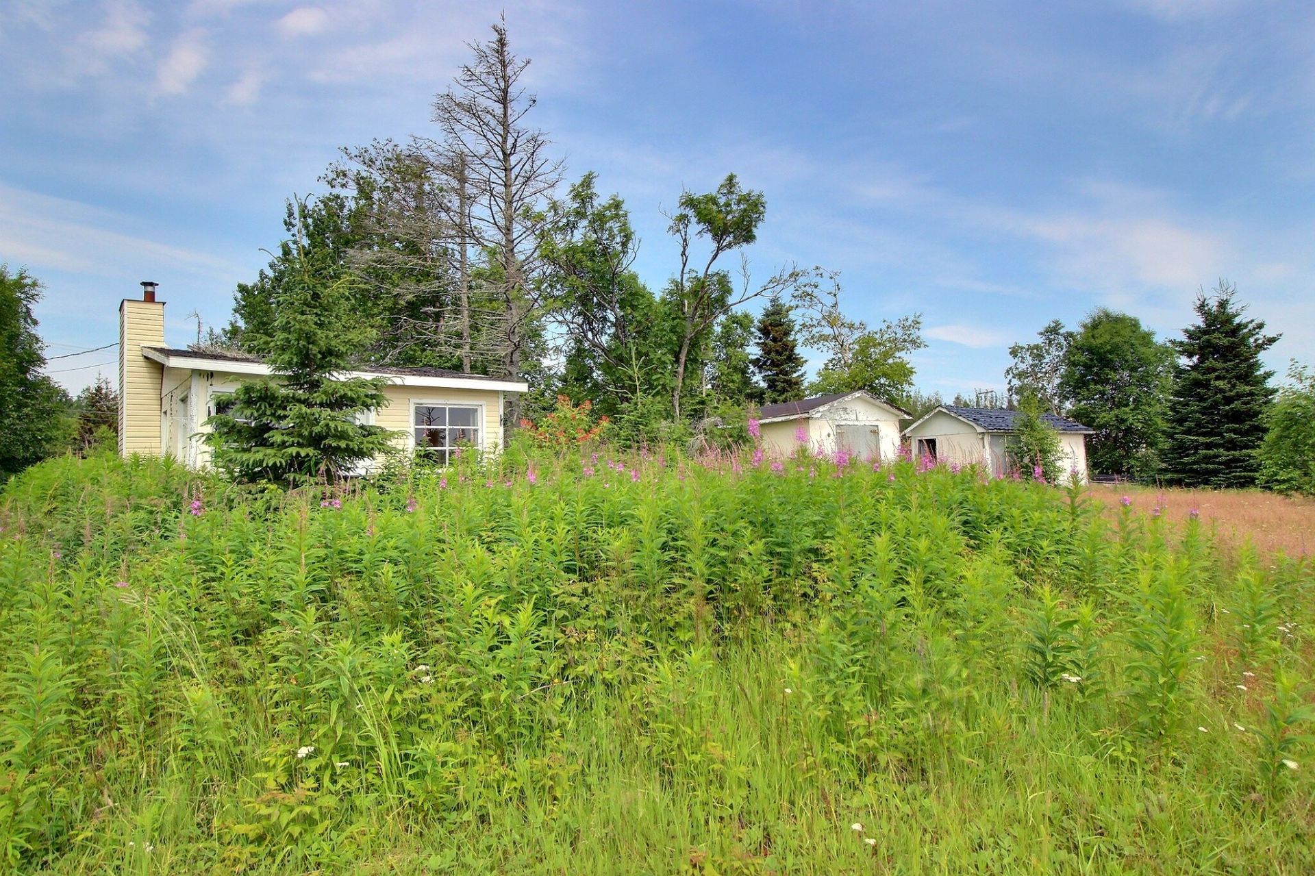 MLS: 19500053