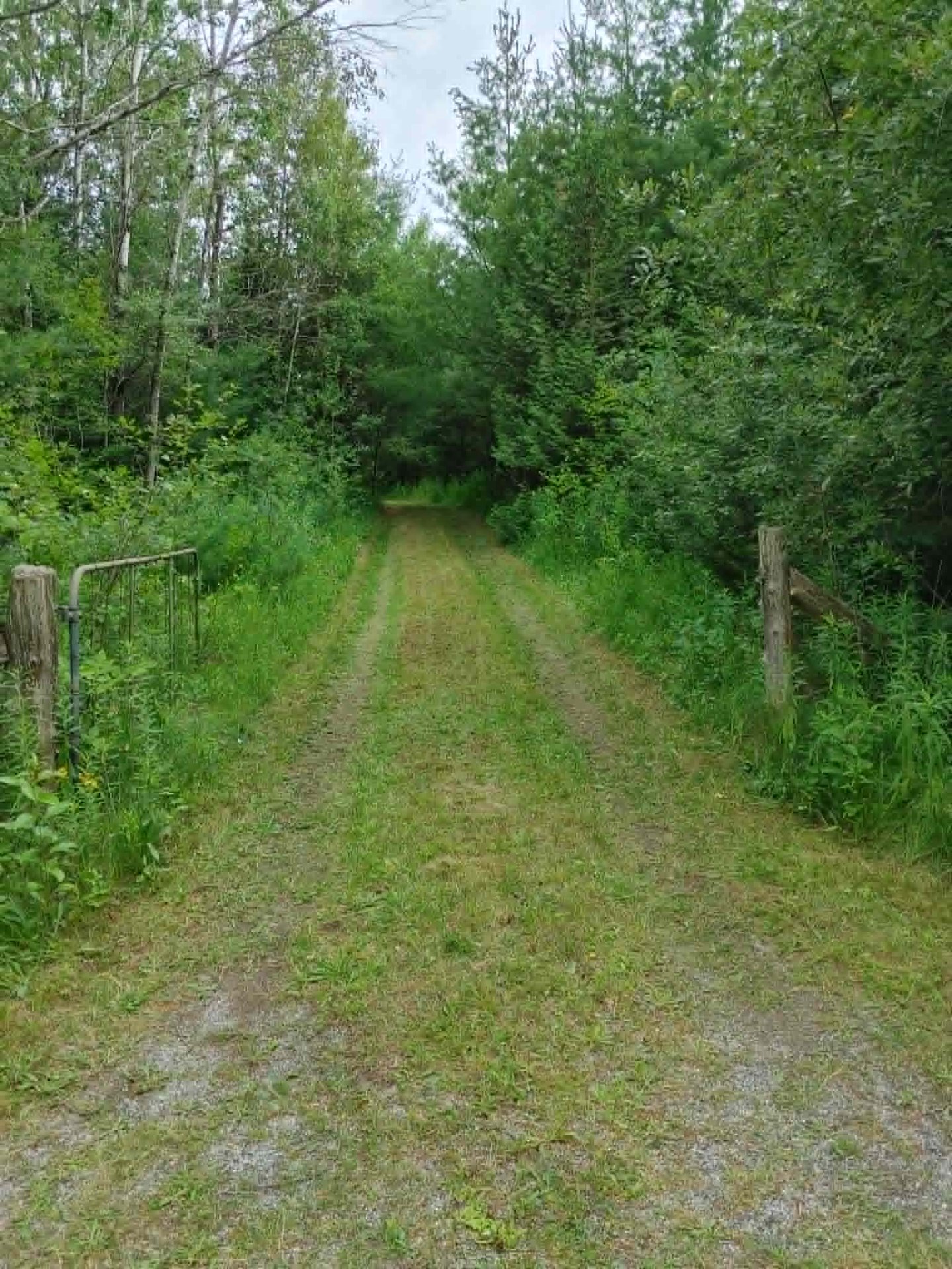 MLS: 25139516