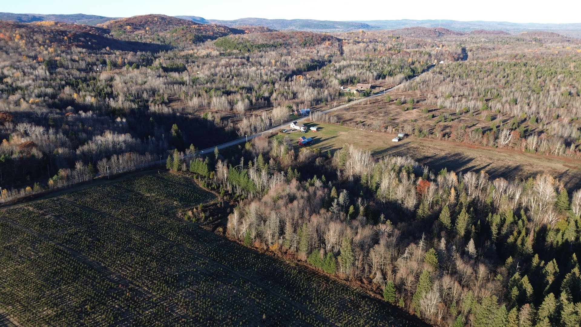 MLS: 11575674