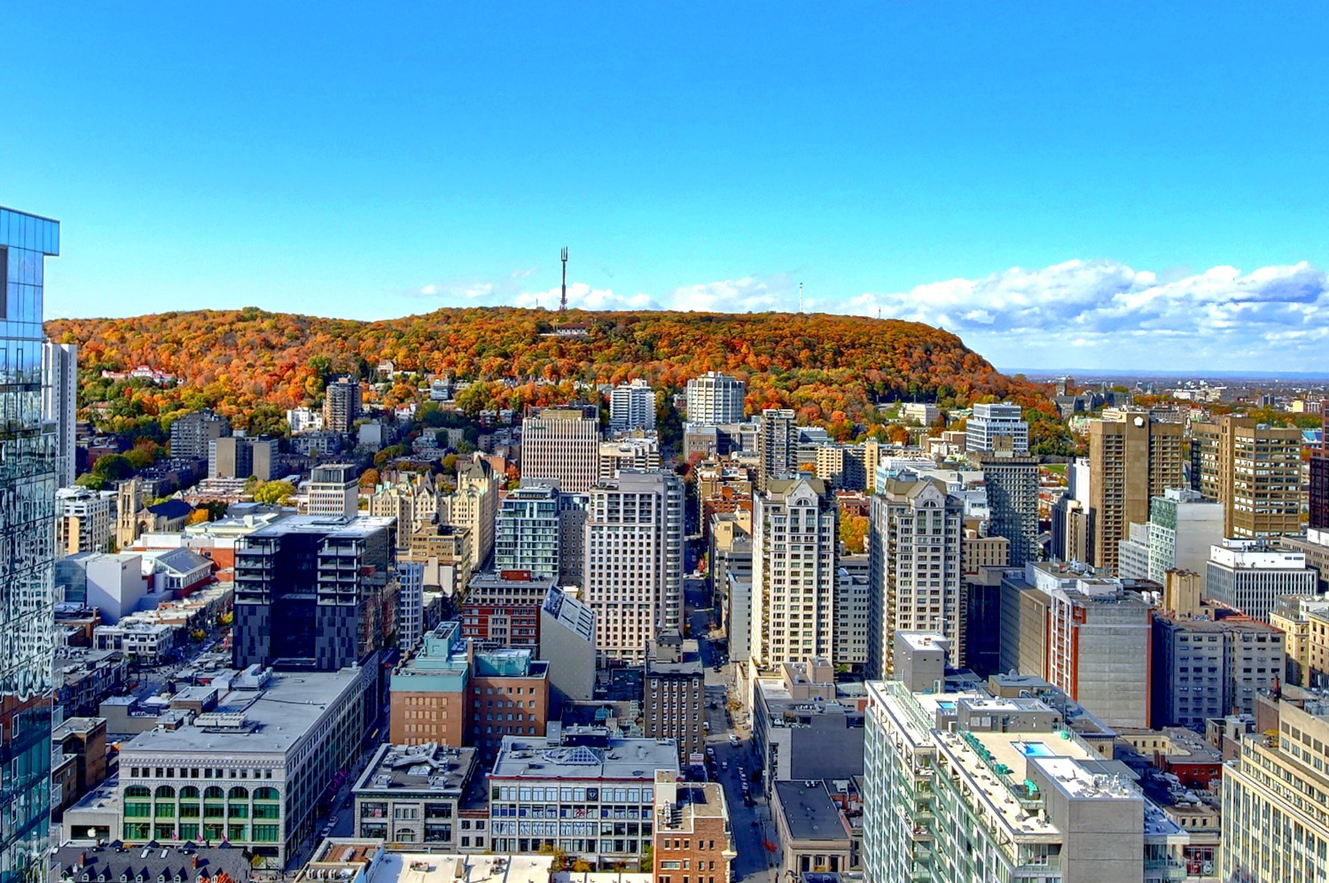 MLS: 12767570